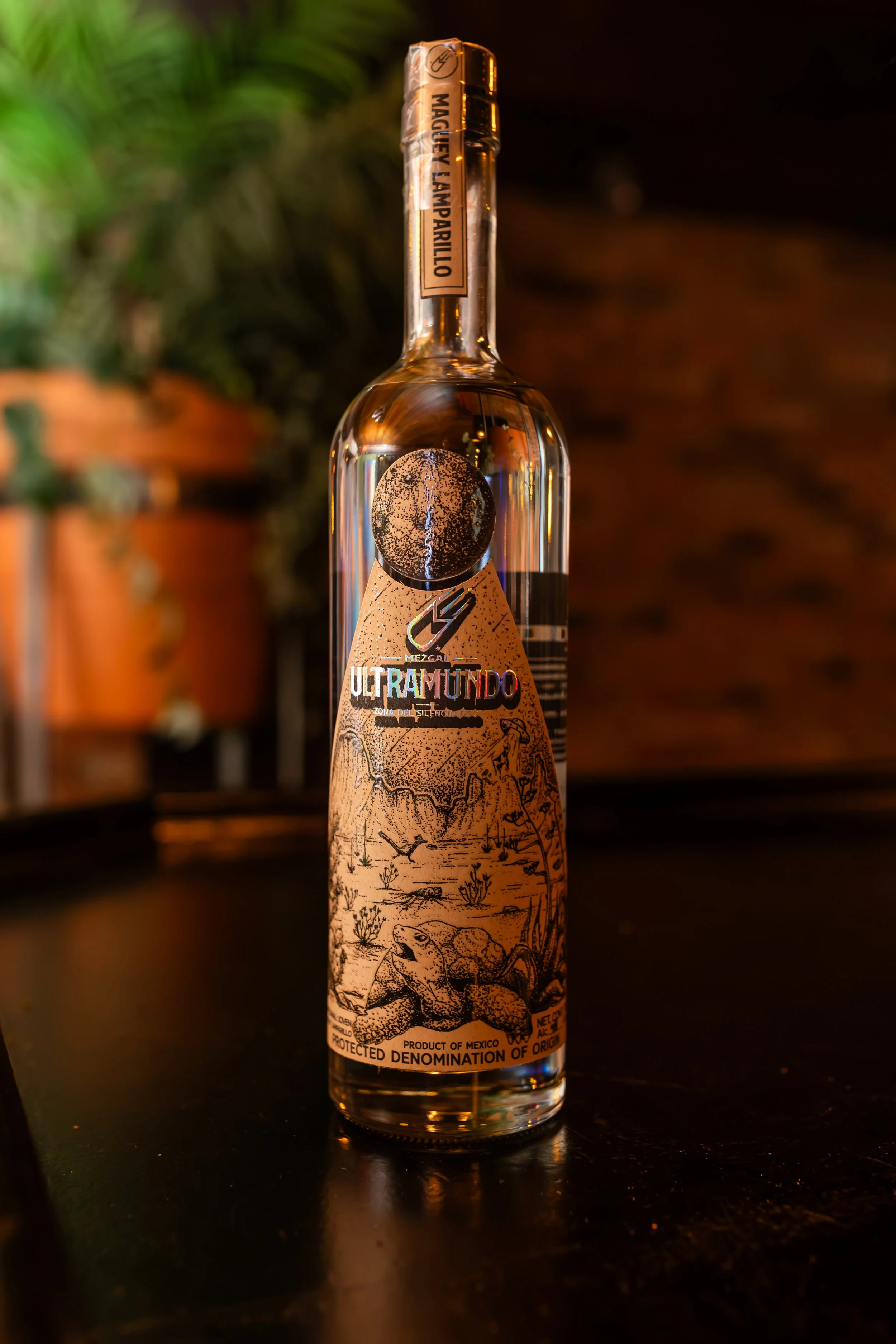 ArteAgave-66.jpg