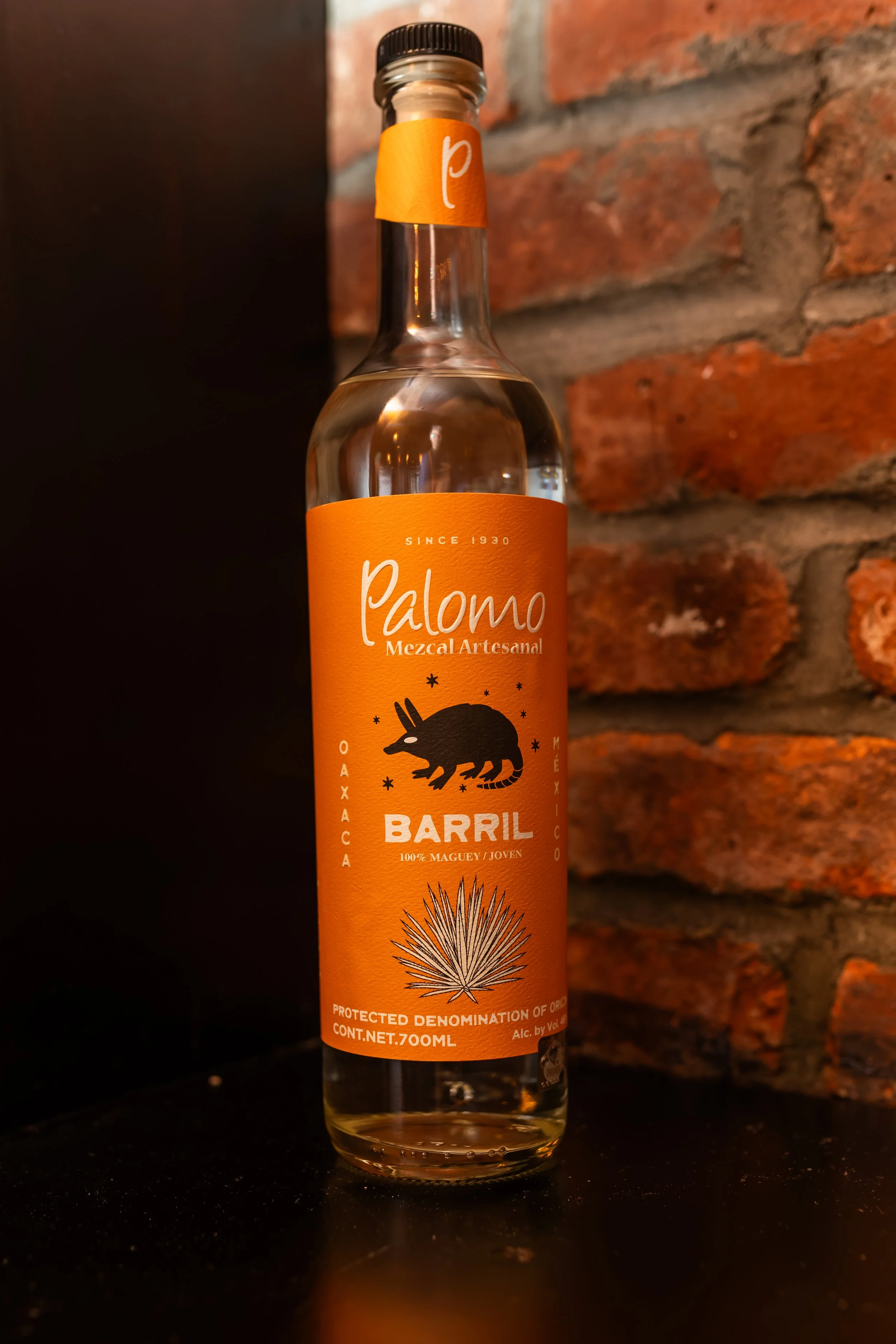 ArteAgave-70.jpg