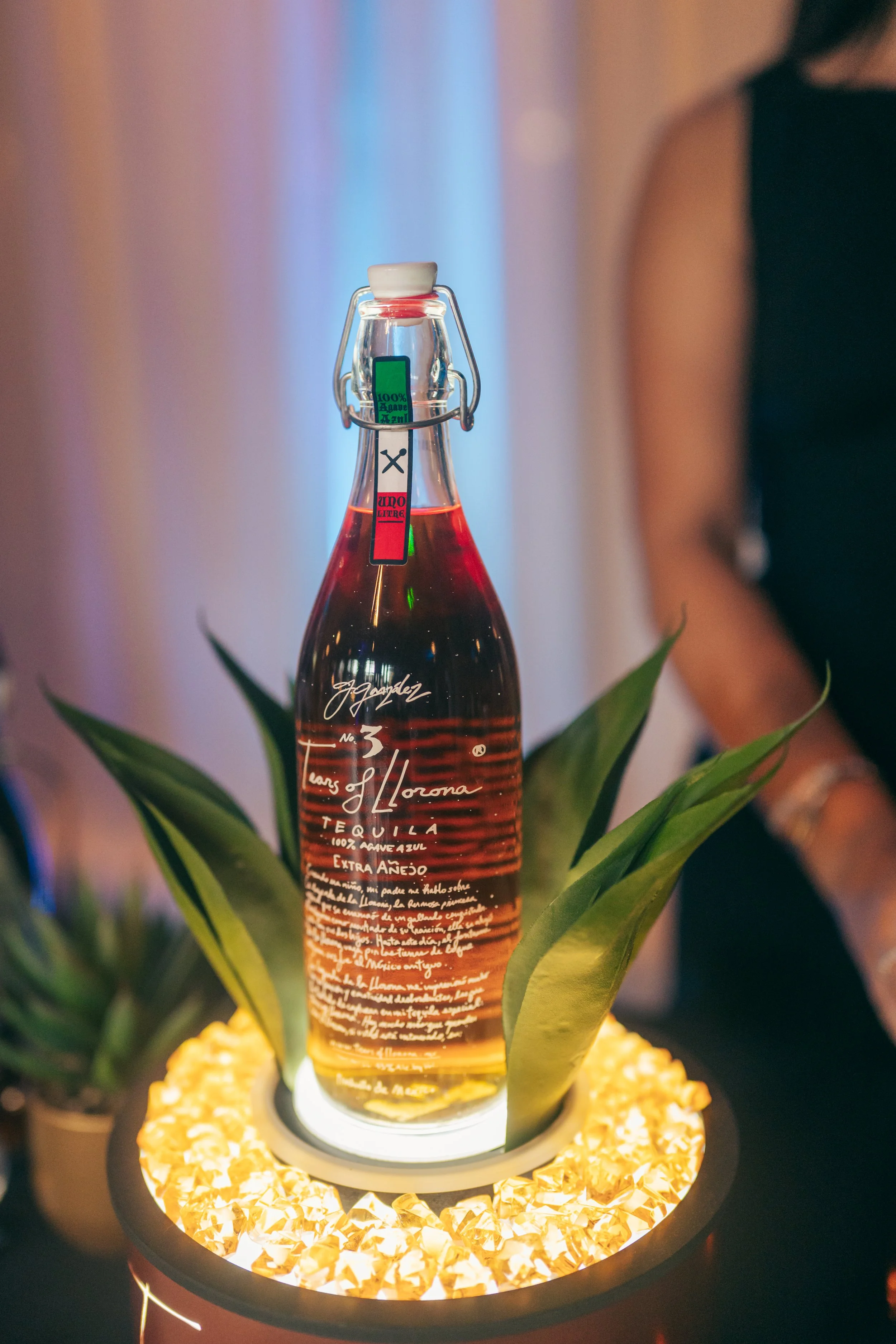 Arte Agave-05.29.2026-70.jpg