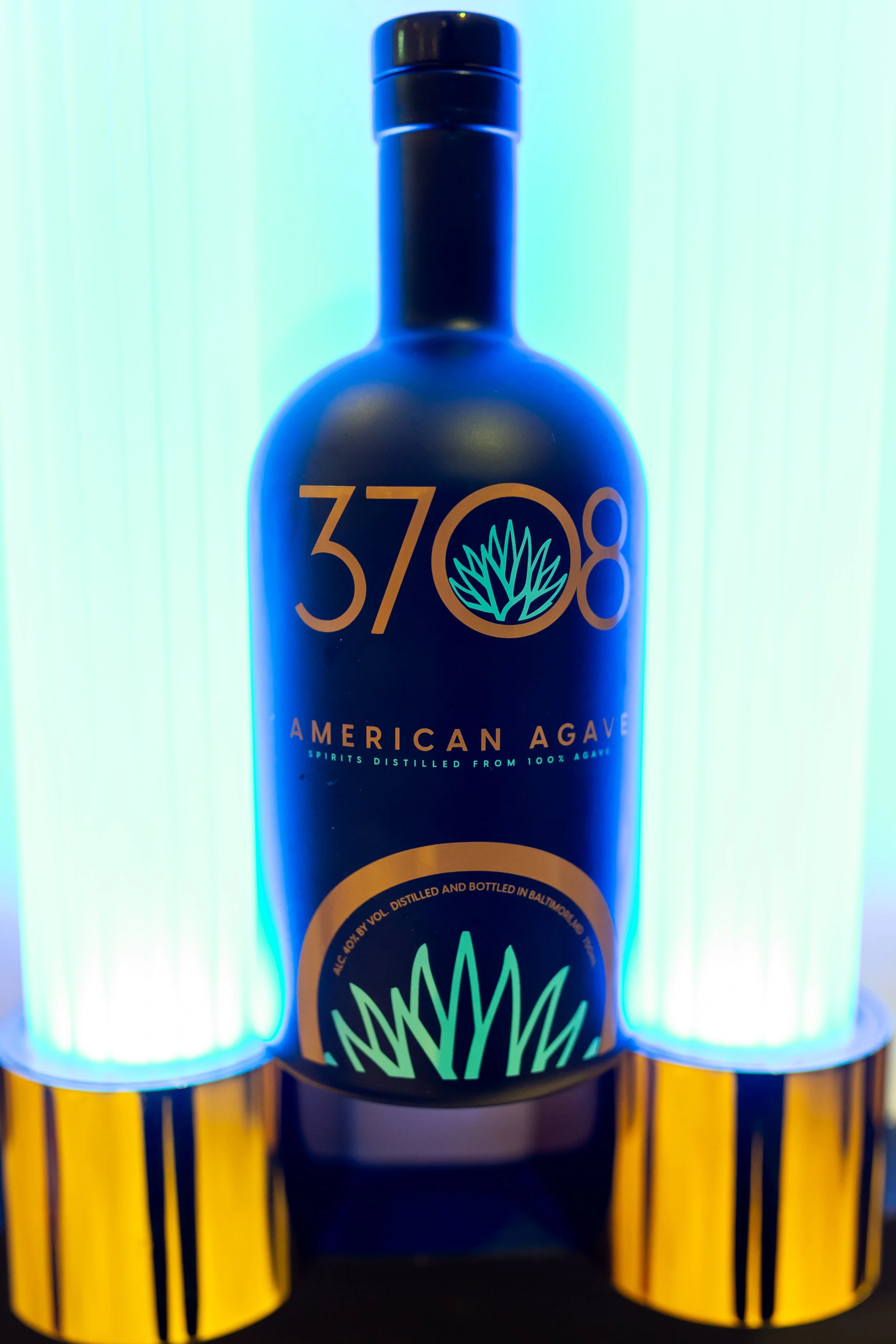 ArteAgaveDC-26.jpg