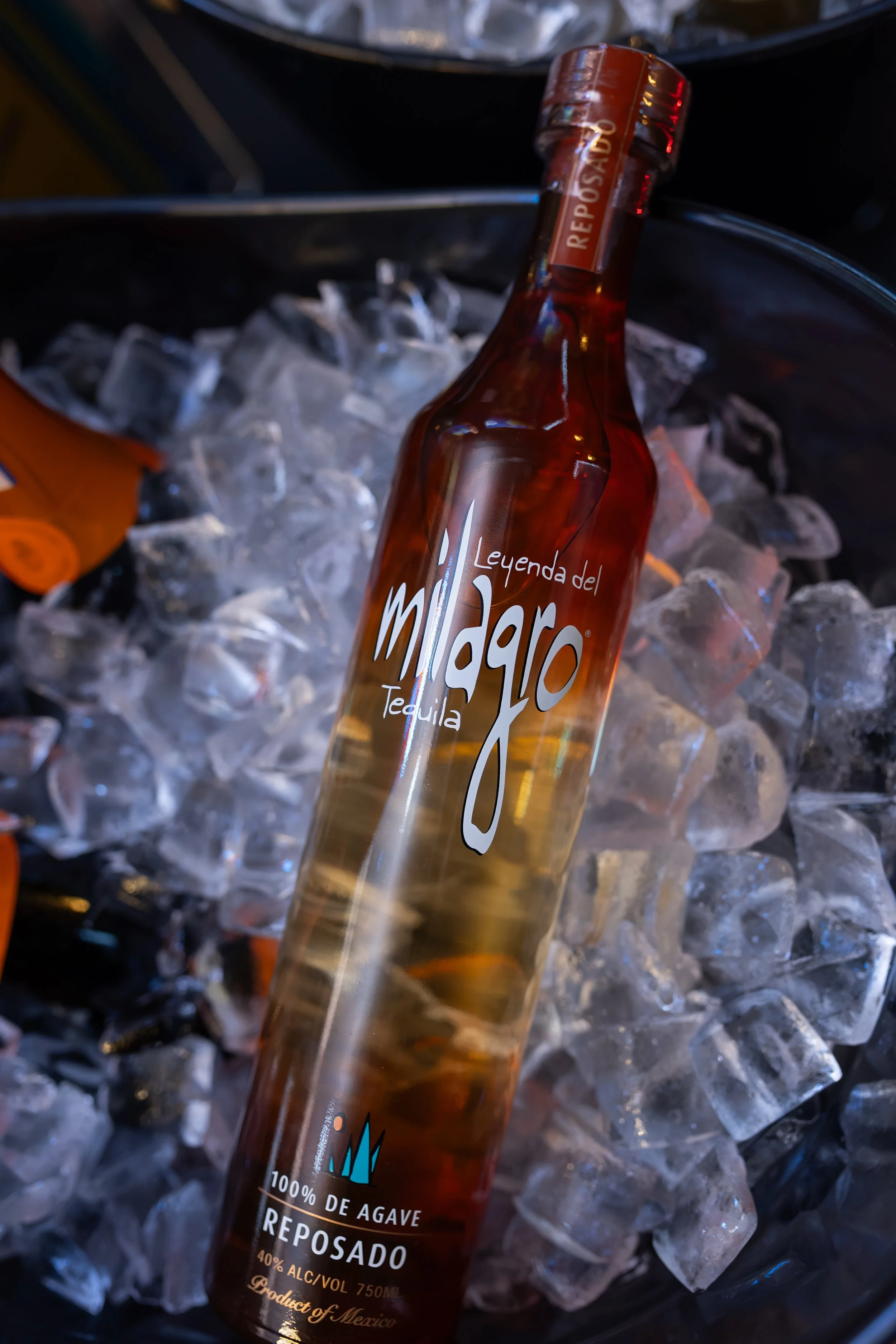 ArteAgave-67.jpg