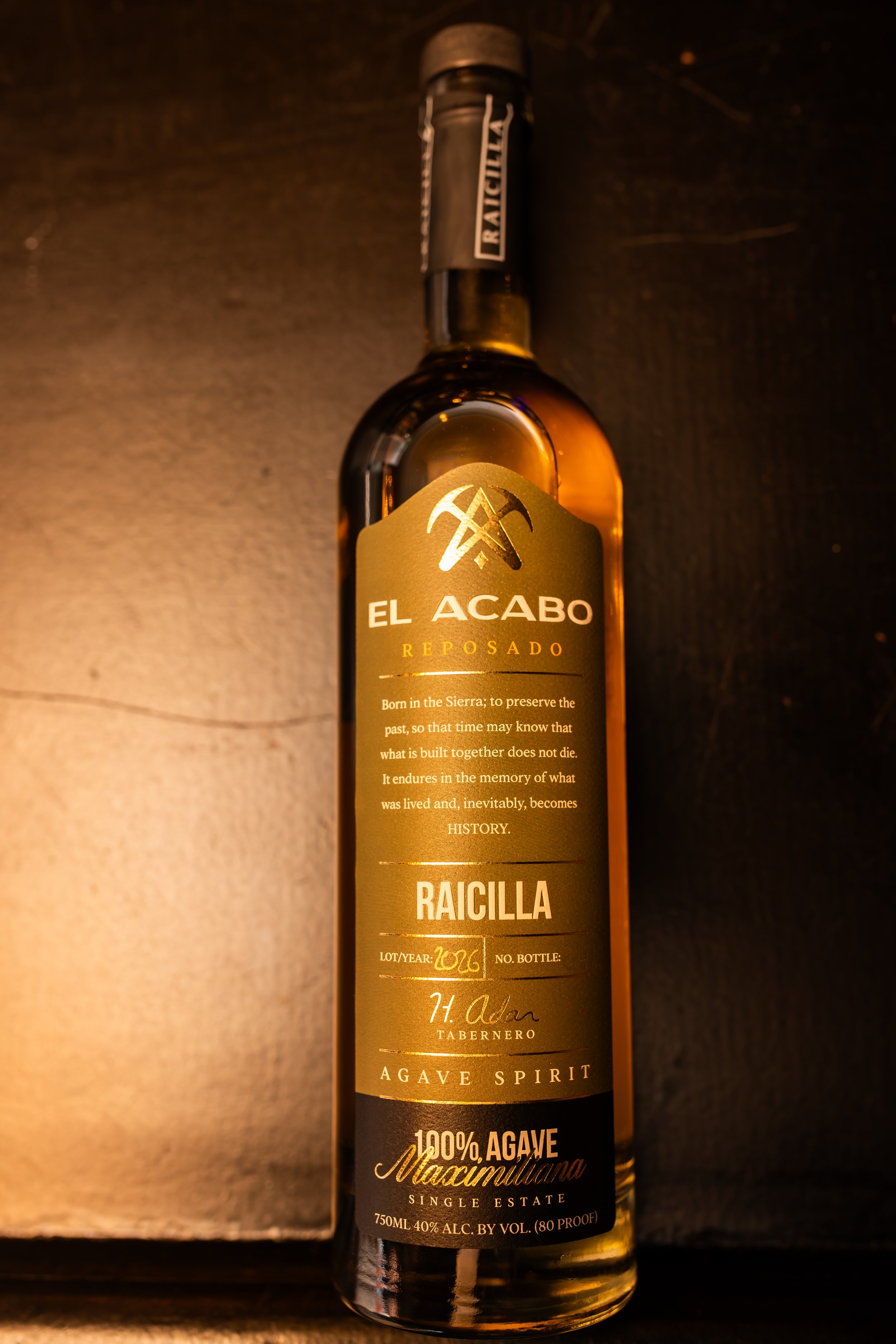 ArteAgave-71.jpg