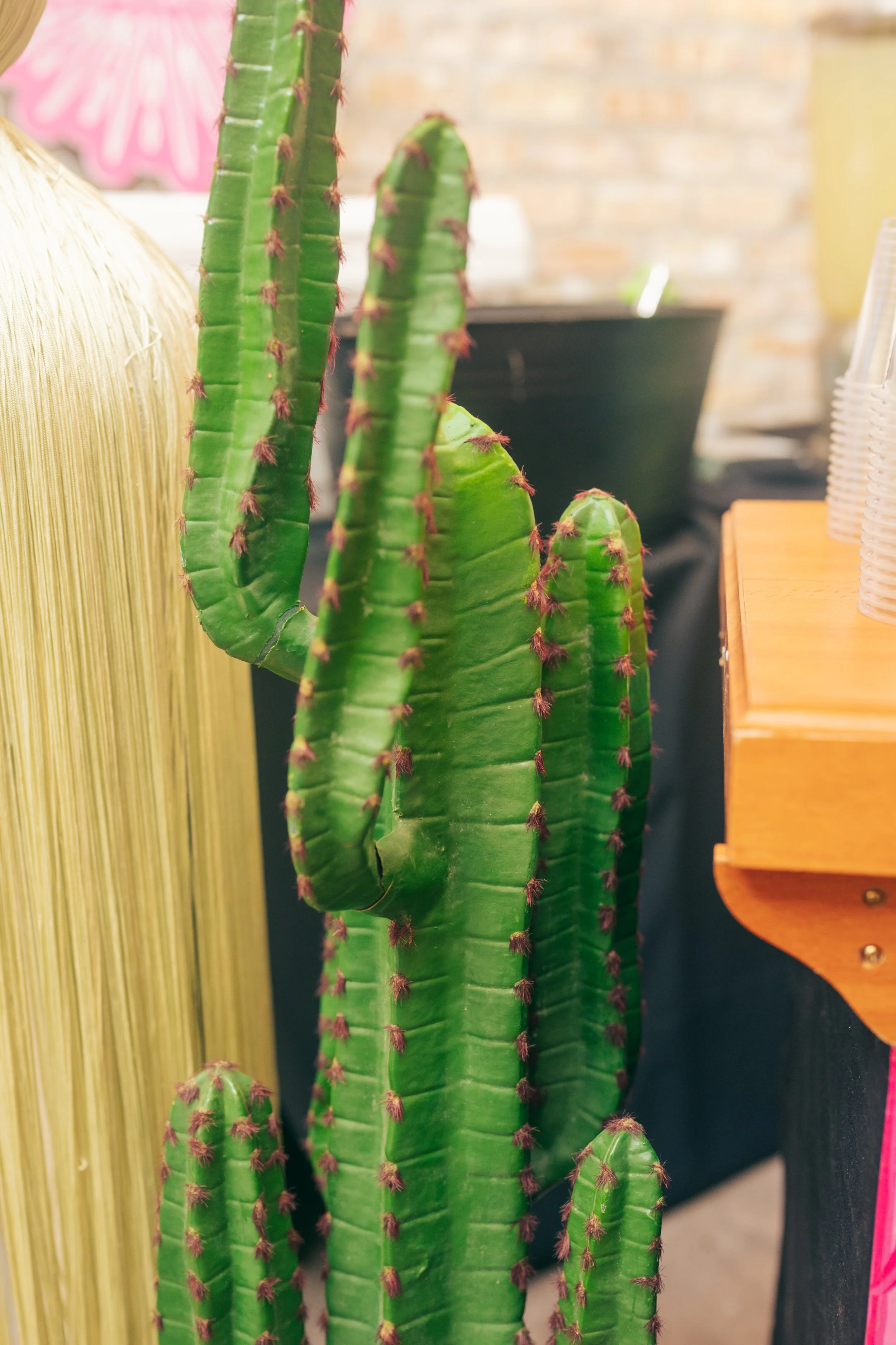 Arte Agave-05.29.2026-41.jpg