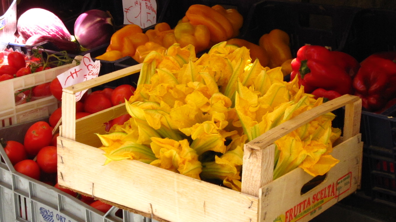 Fiori di zucca