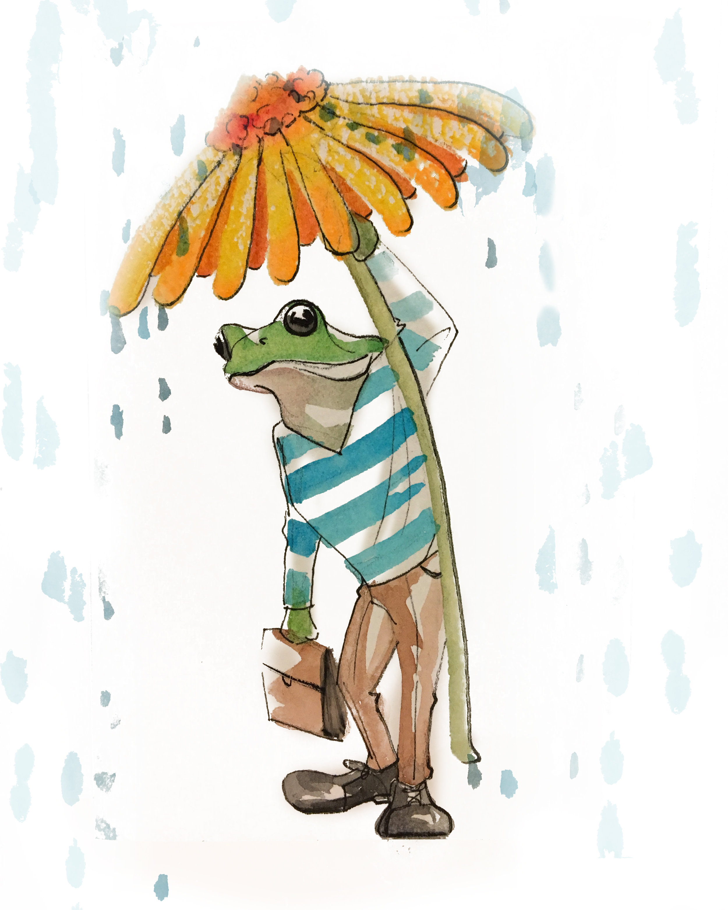 RainFrog.jpg