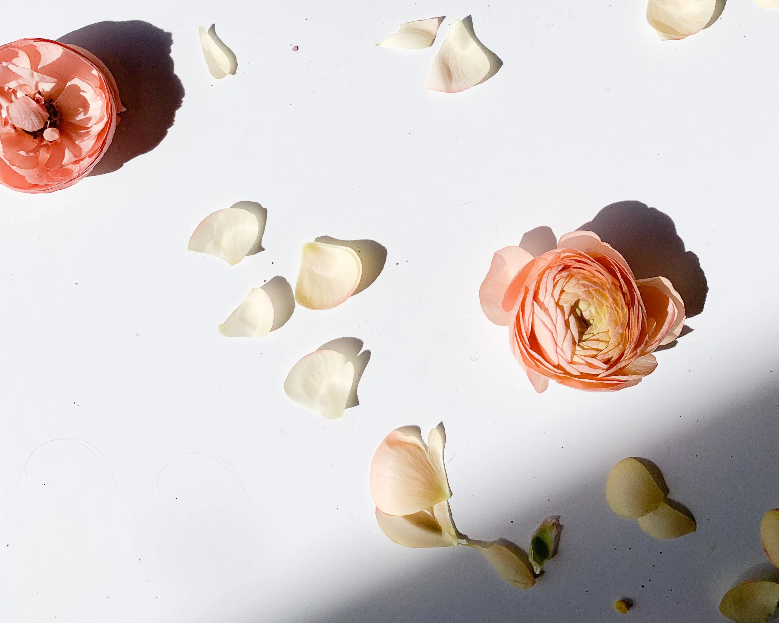 Photography by Entincelle Studio