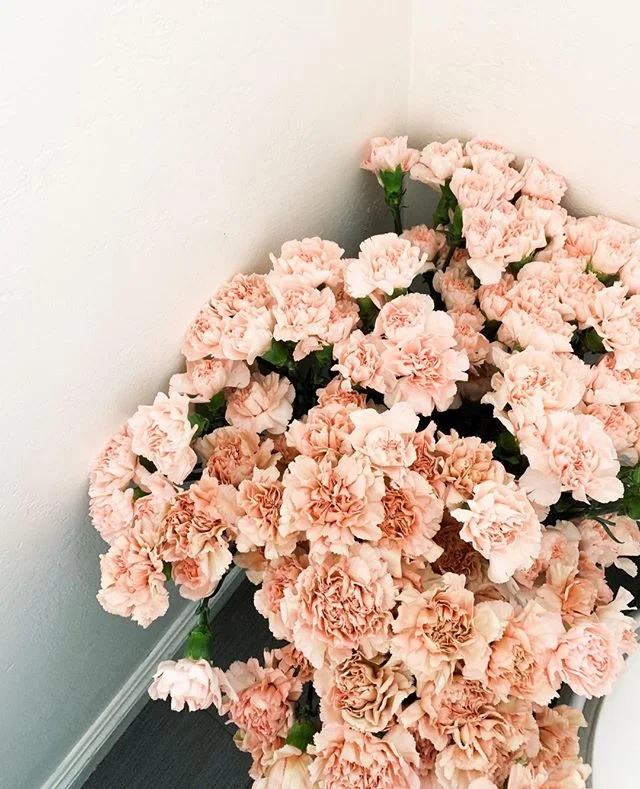 When I took this picture, it was kind of on a whim...I thought it looked pretty and I loved the lighting (it was taken in my bathroom 😅) It ended up being the most "liked" photo I took this year! ⁠
.⁠
#pursuepretty #flashesofdelight #petit