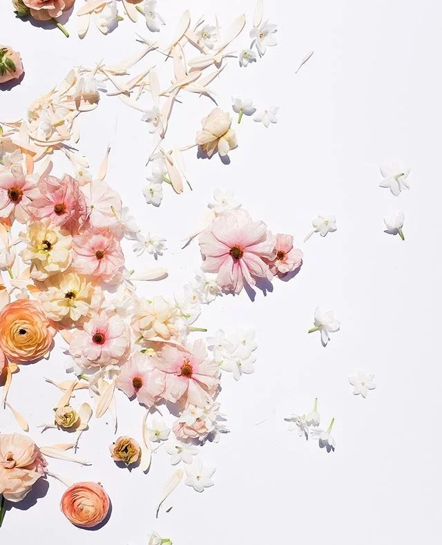 FLOWER confetti for your Tuesday 💕⁠
.⁠
.⁠
.⁠
.⁠
.⁠
.⁠
#pursuepretty #flashesofdelight #petitejoys #prettylittlething #makeyousmilestyle #dsfloral #morningslikethese #creativityfound #prettylittlethings #dslooking #dshappy #theeverydayproject #thepre