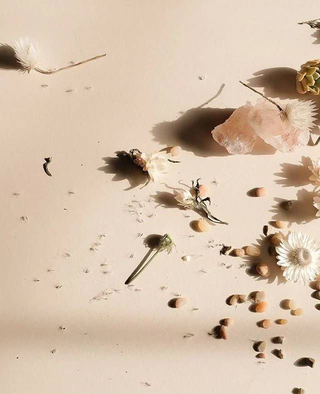 Sunset scene 🌵 made just for me 💕⁠
.⁠
.⁠
.⁠
.⁠
.⁠
#rslove #onmytable #huffposttaste #commontable #instaart #inspiredbypetals #flowerlove #flowergram #floralart #theprettypursuit #thehappynow #theeverydayproject #pursuepretty #prettylittlethings #pr