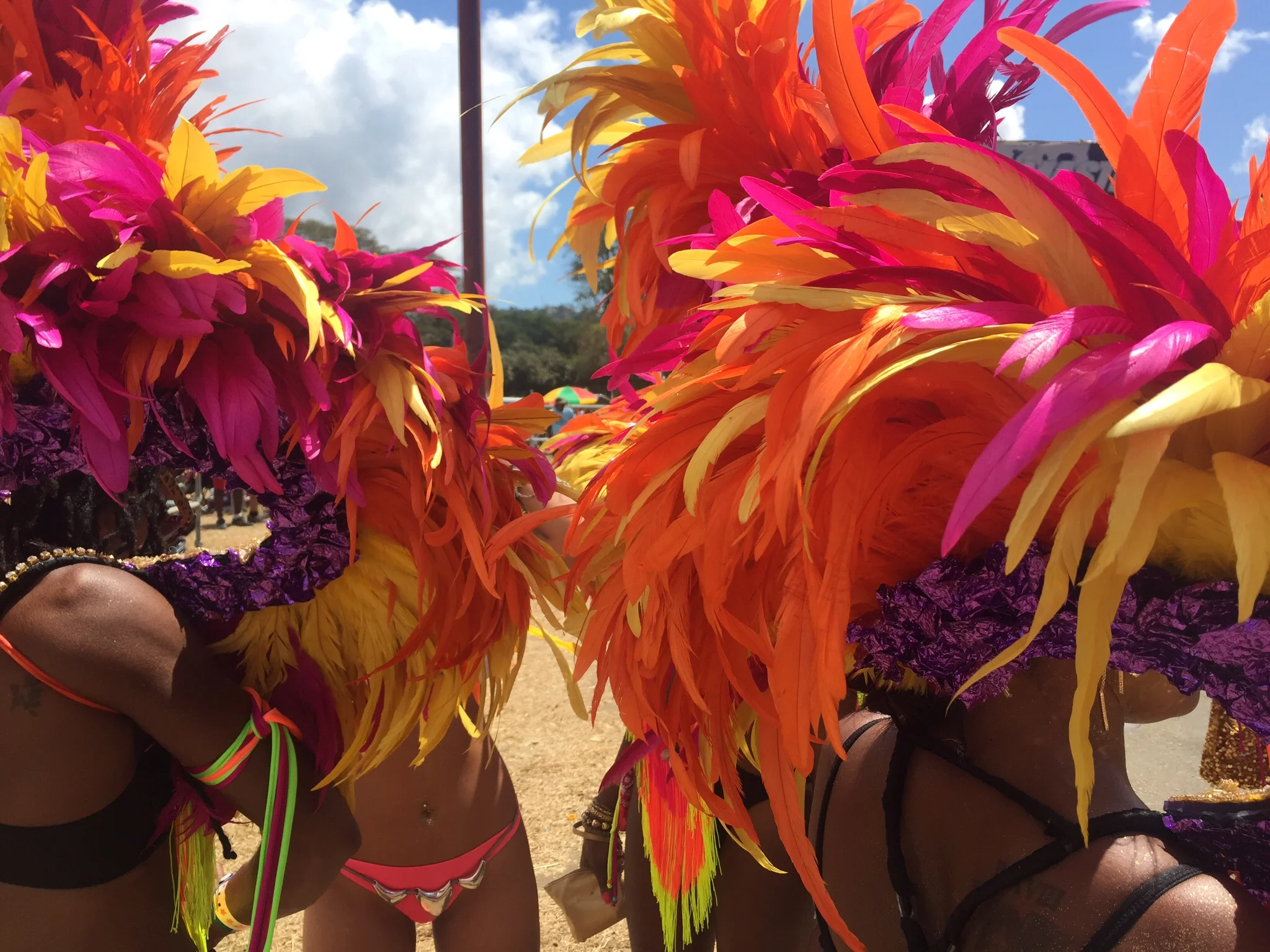 feathers and not much else at the savannah