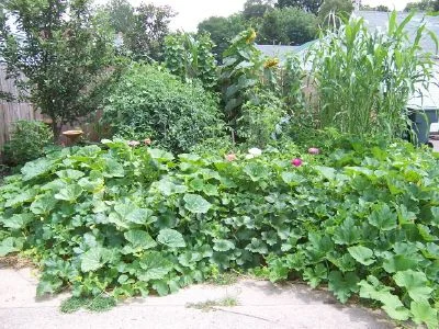 Gardenview