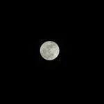20110325-102250-150x150.jpg