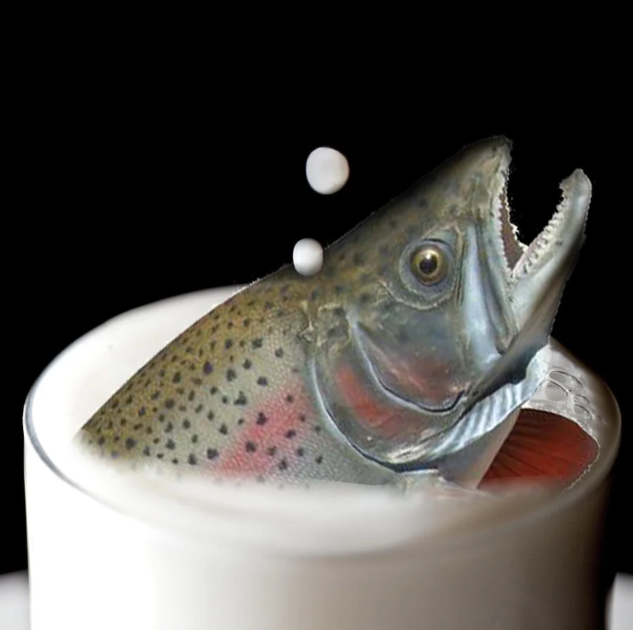 The Trout In The Milk Breaking The Time Barrier