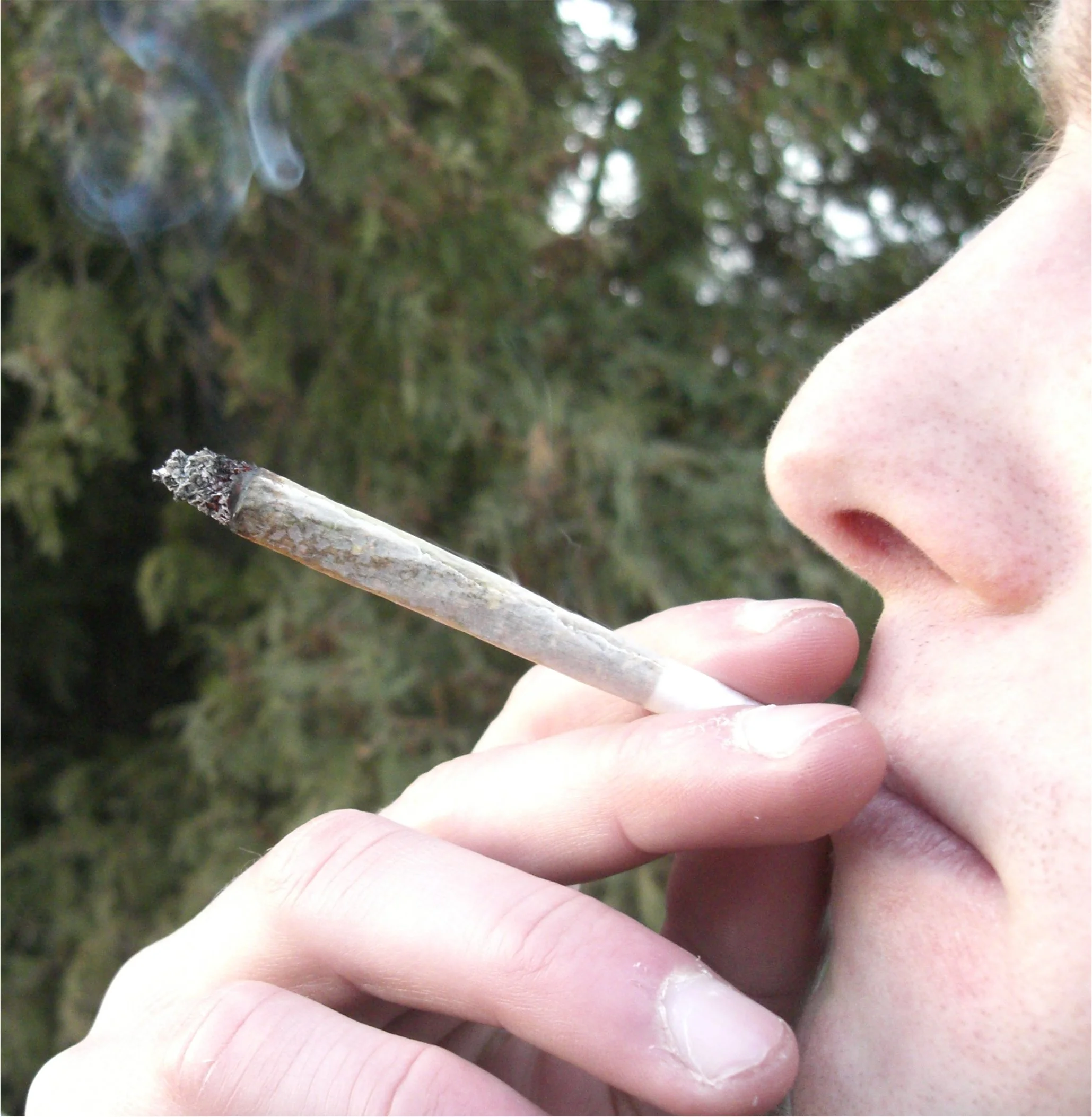 Joint(detail).jpg