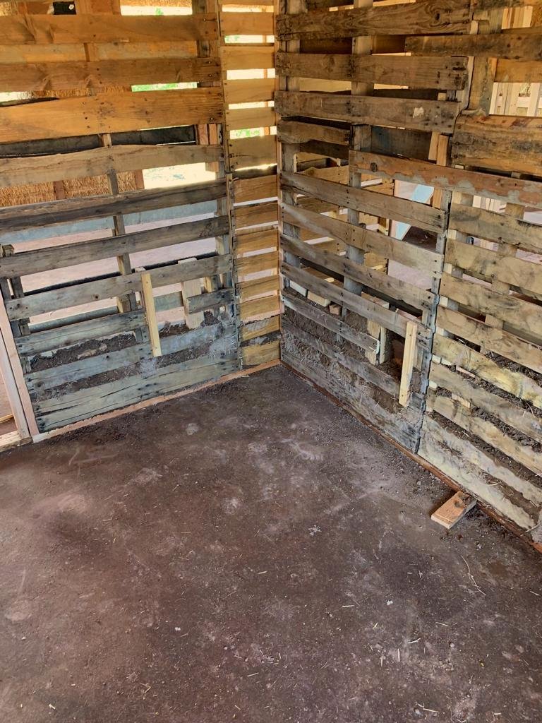  Pallet cob walls with a first lift of earthen plaster on the floor. 