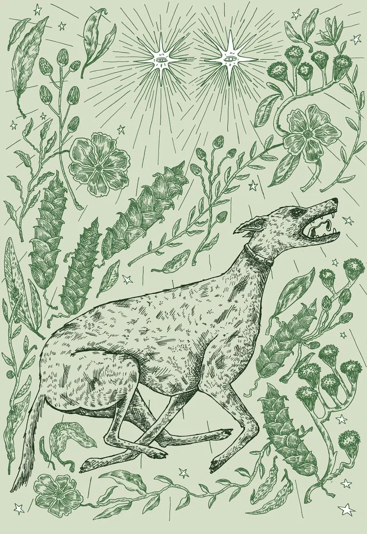 For short story called 'Lamping', by Noel O'Regan - Ambit Magazine