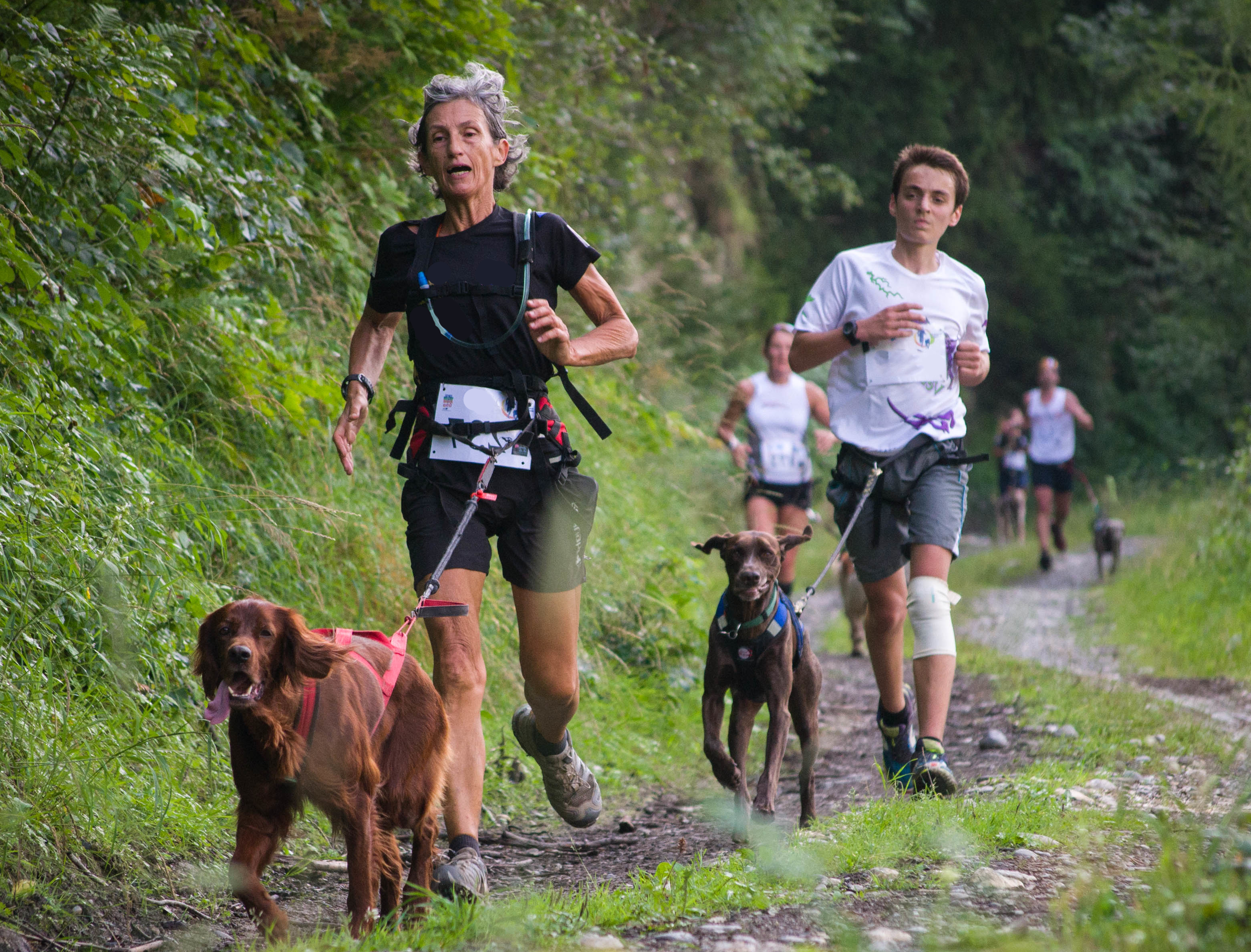 inscription 5 km canin