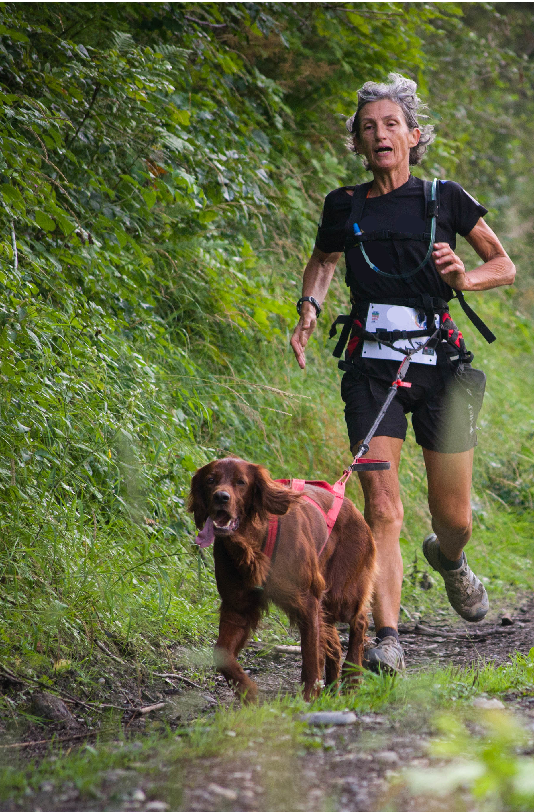 inscription 10 km canin