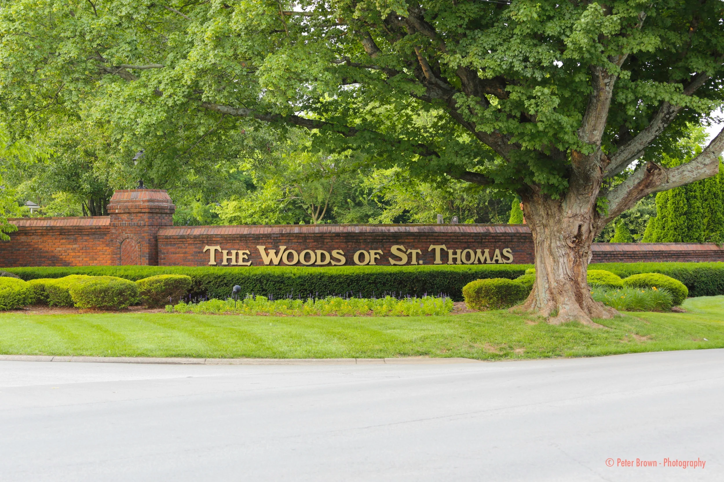WST Entrance.jpg