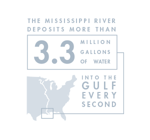 Did You Know? Infographic Series