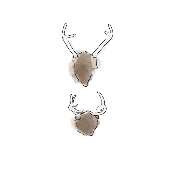 Feb12_antlers.png