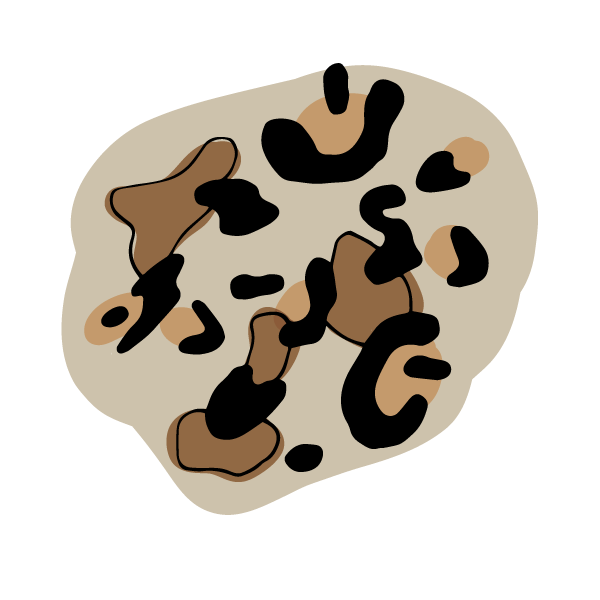 Oct29_animalPrint.png