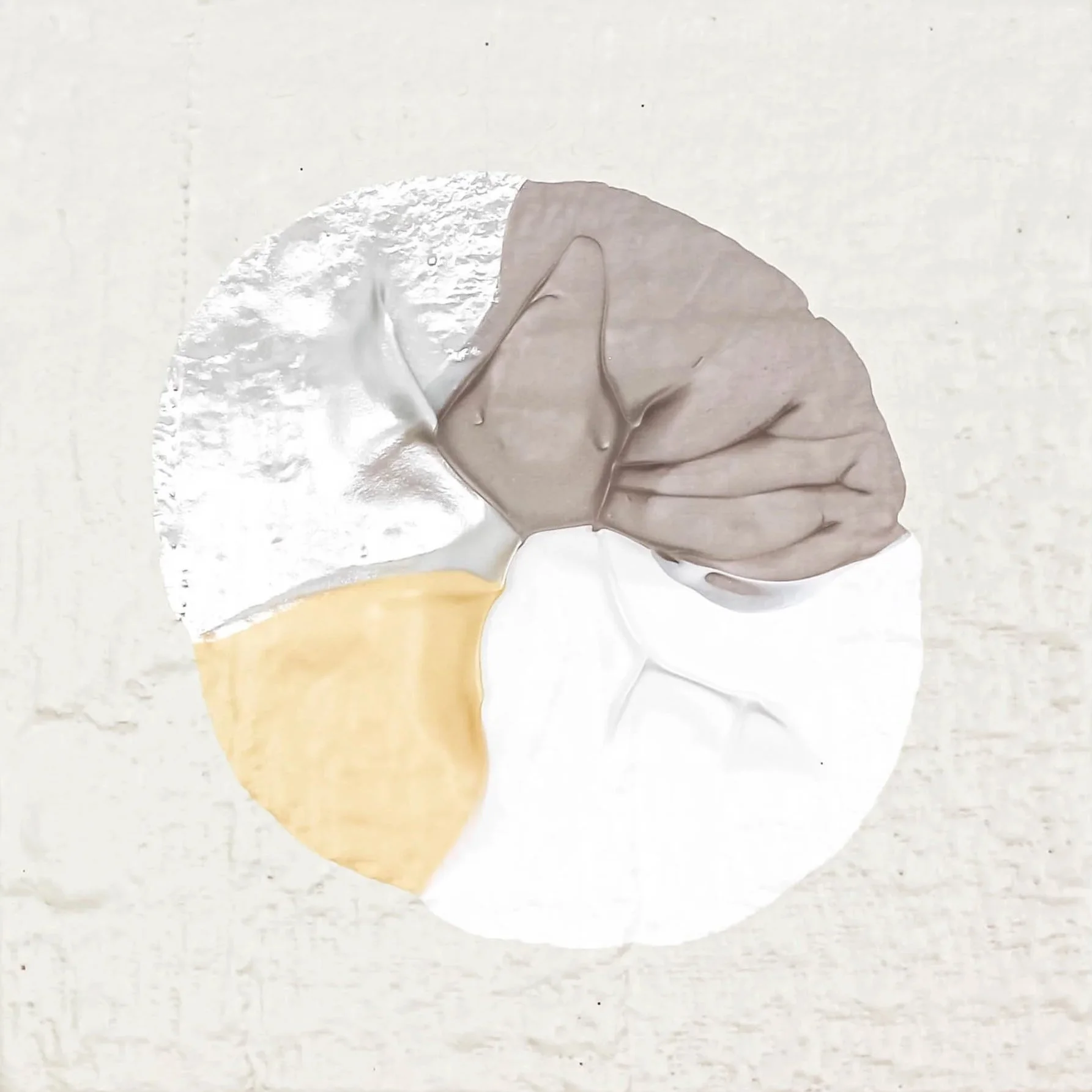 LL_6x6_Neutral_Plaster_2026_1_crop.jpg