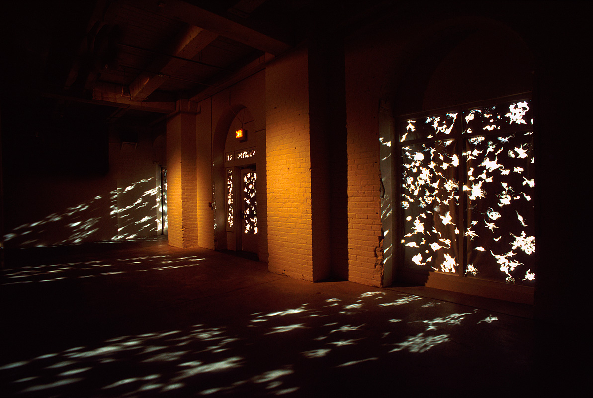 "My Observable Universe in the year, 2000." silver paper with kraft backing, pinholes, natural daylight. Gallery window dimensions: 7'h x 6'w x each.