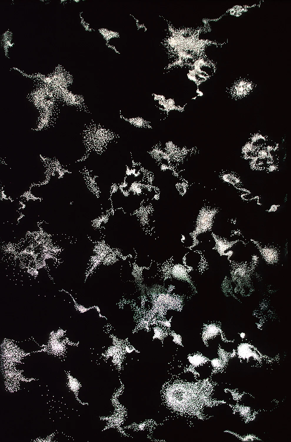 "My Observable Universe in the year, 2000." detail