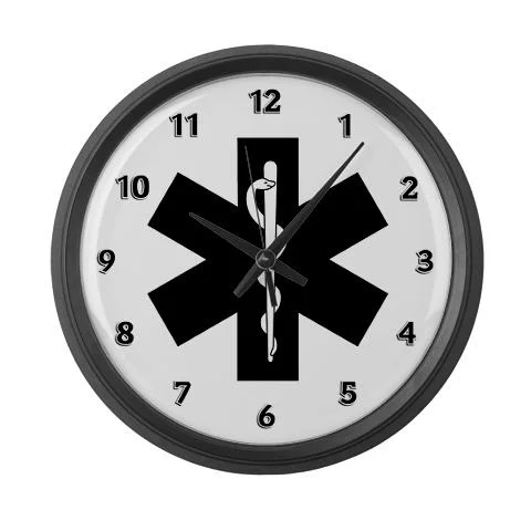 EMS Dispatch Log