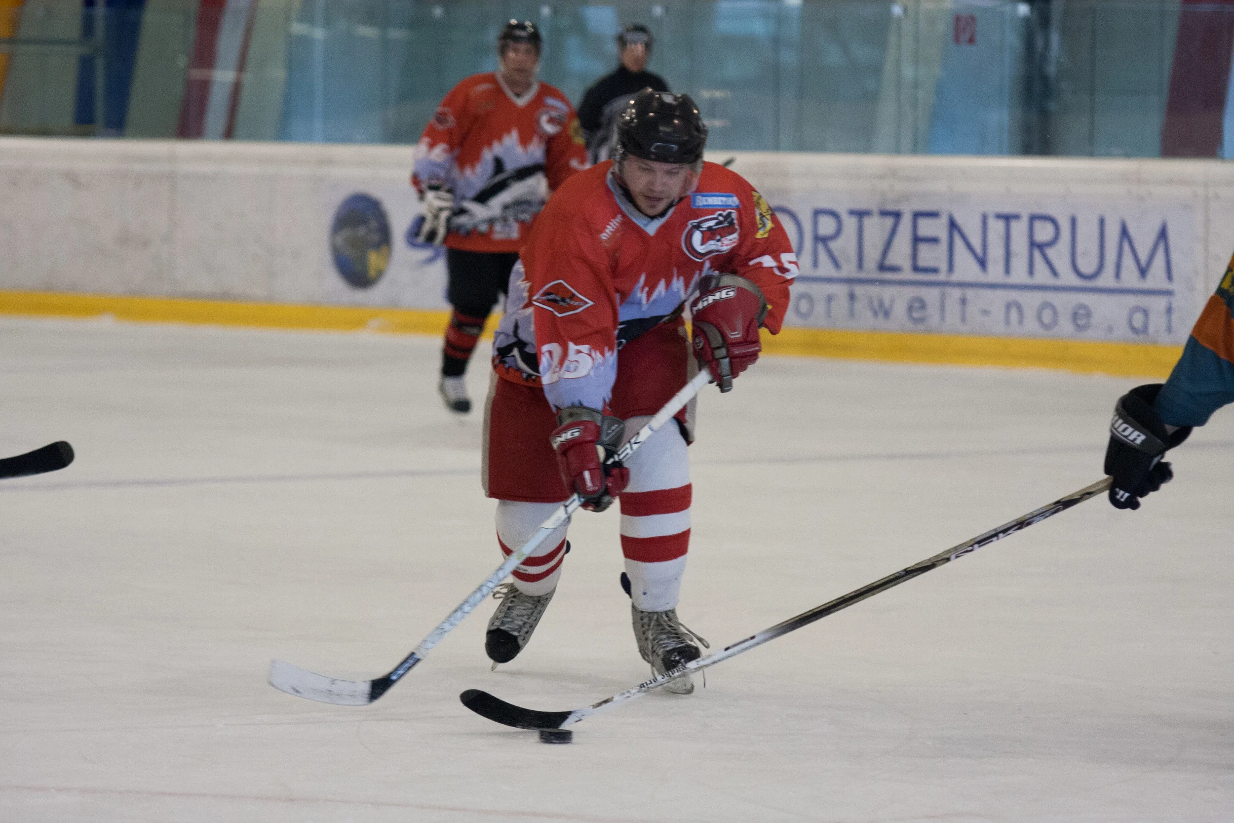 069_20130302_Eishockey Sharks.JPG