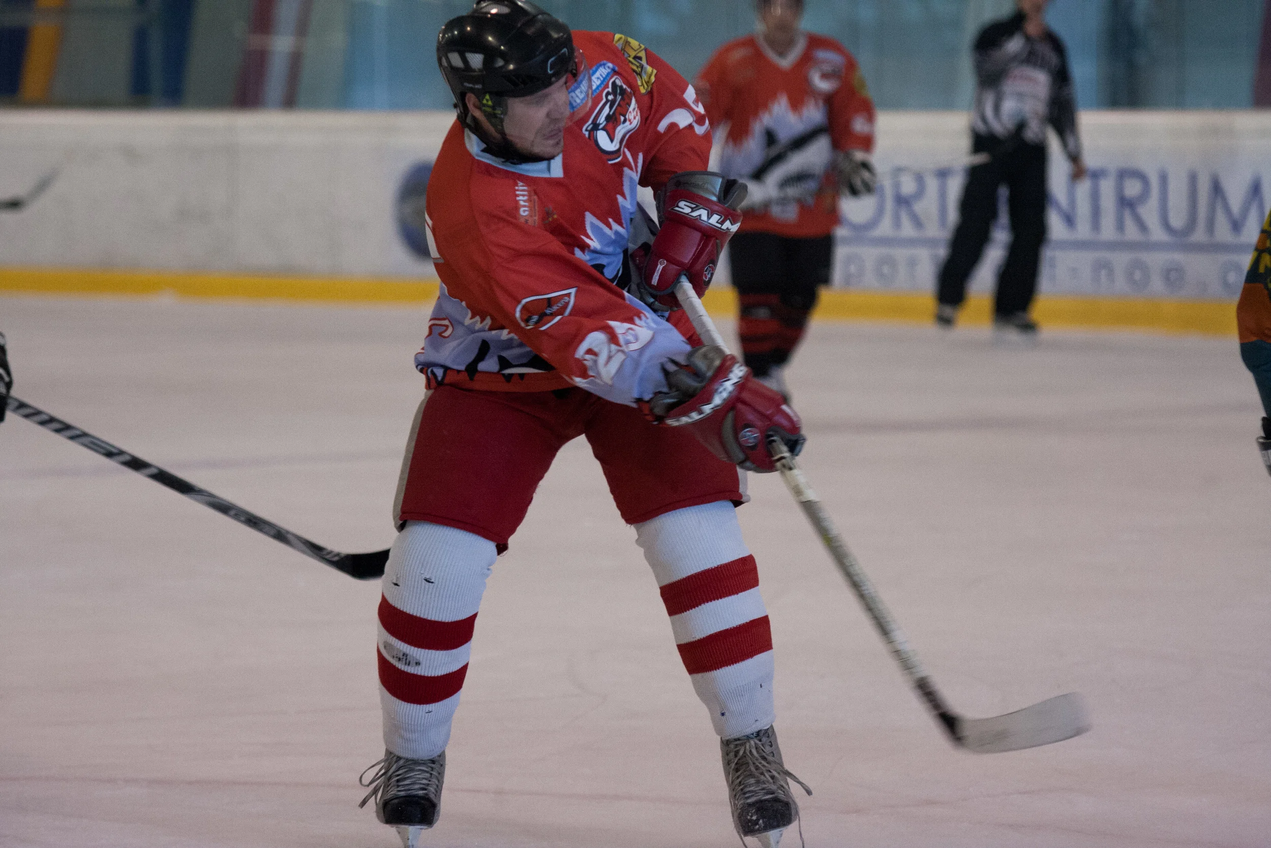 073_20130302_Eishockey Sharks.JPG