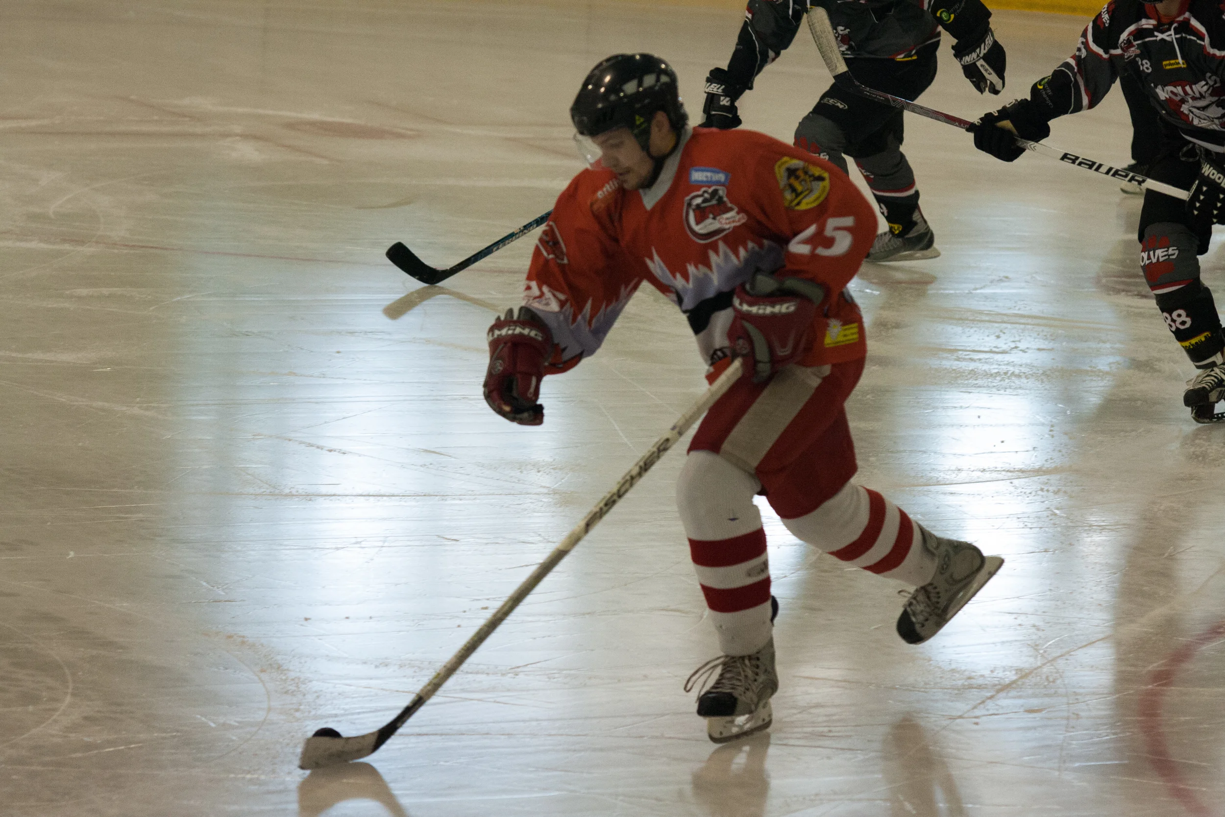 183_20130302_Eishockey Sharks.JPG