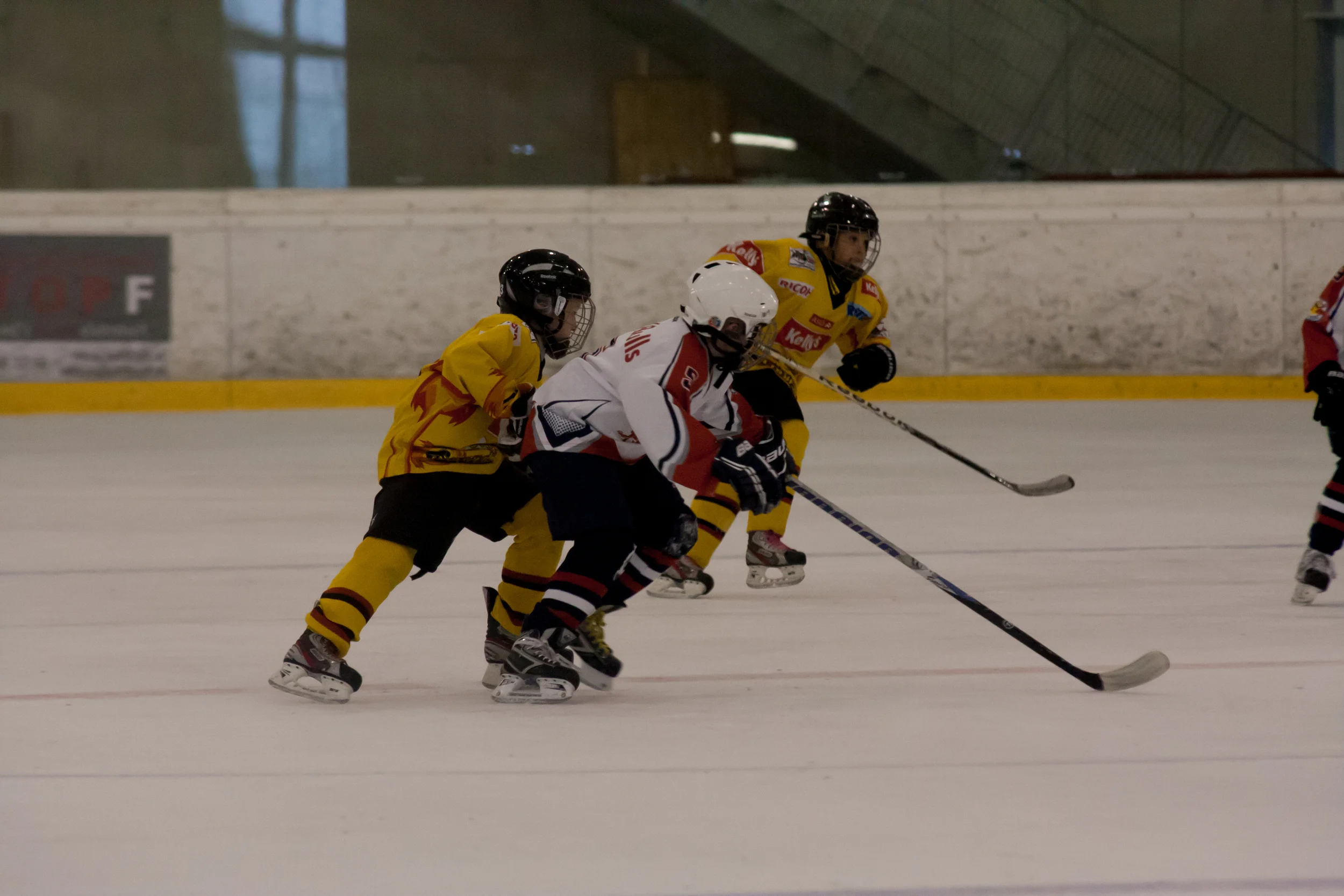 016_20130330_U10FinaleStPoelten.JPG