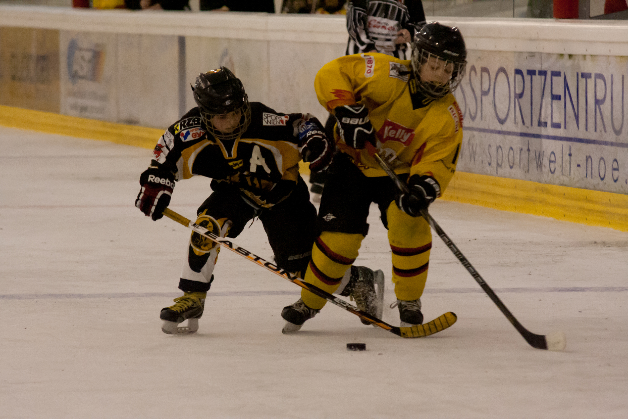 228_20130330_U10FinaleStPoelten.JPG