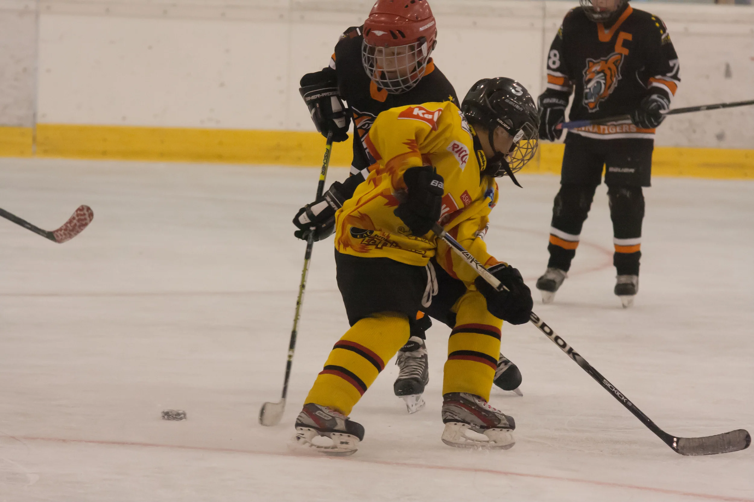 212_20130331_U10FinaleStPoelten.JPG