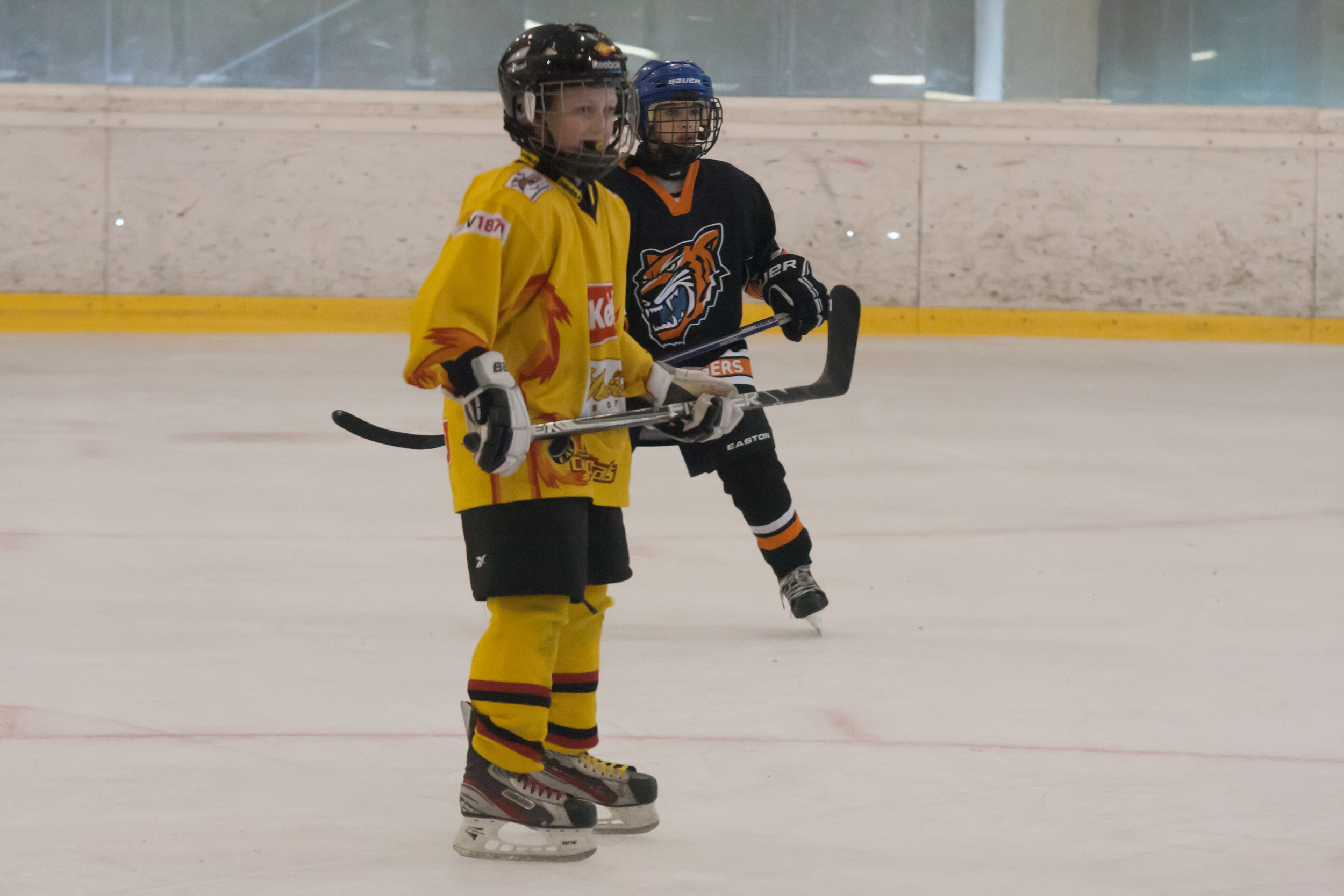 228_20130331_U10FinaleStPoelten.JPG