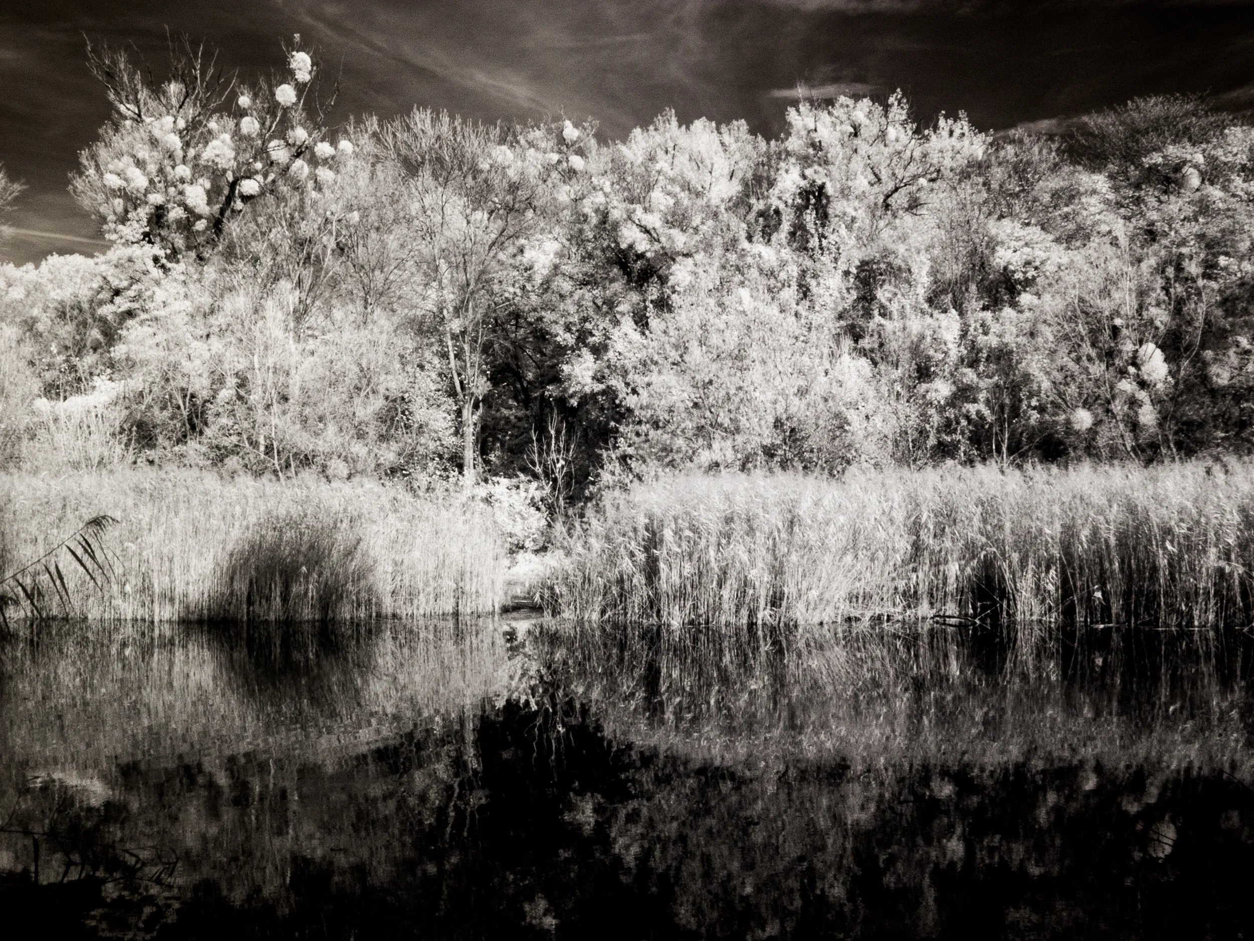 20131027_004_Praterau Infrarot.JPG