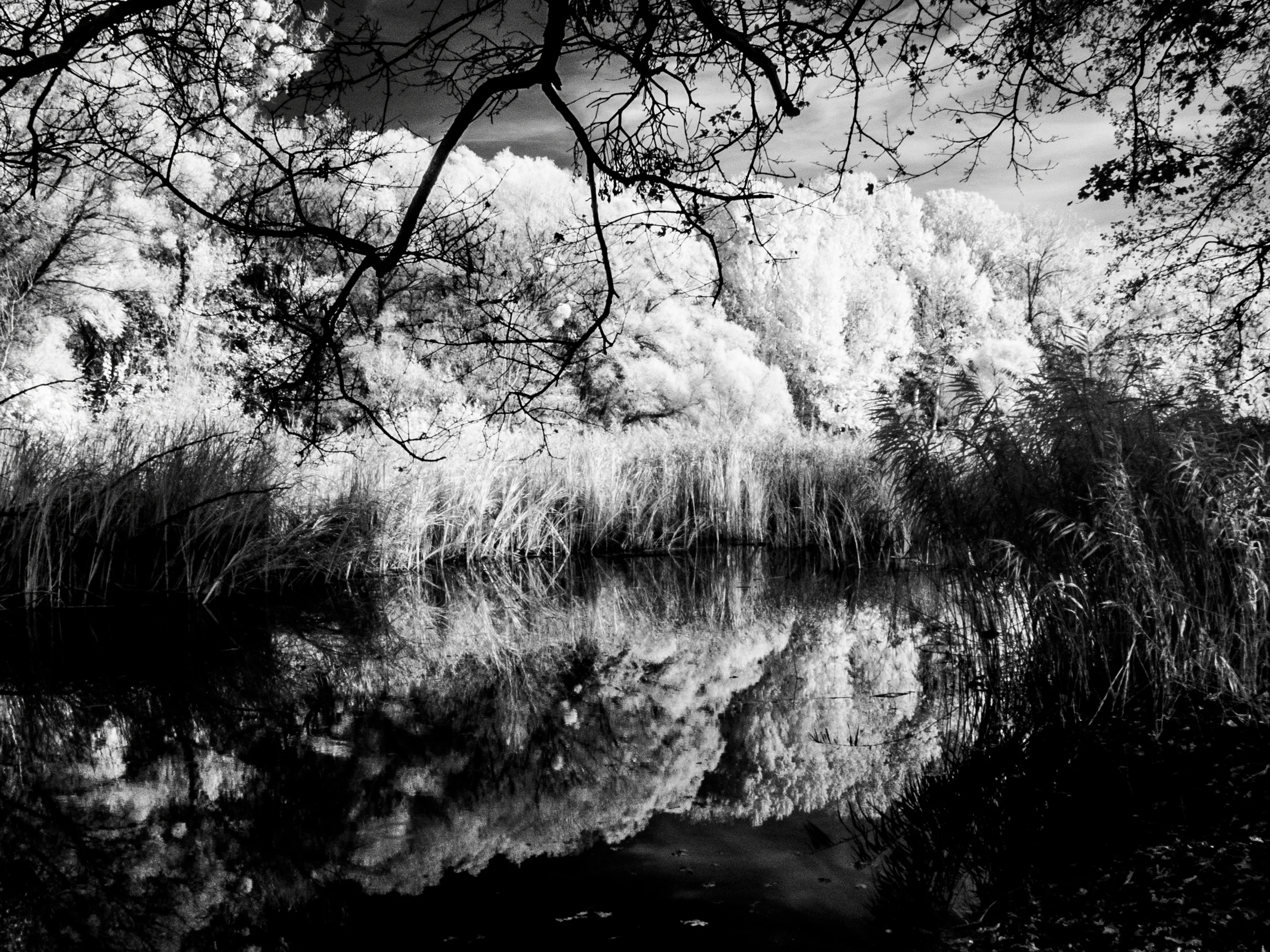 20131027_006_Praterau Infrarot.JPG