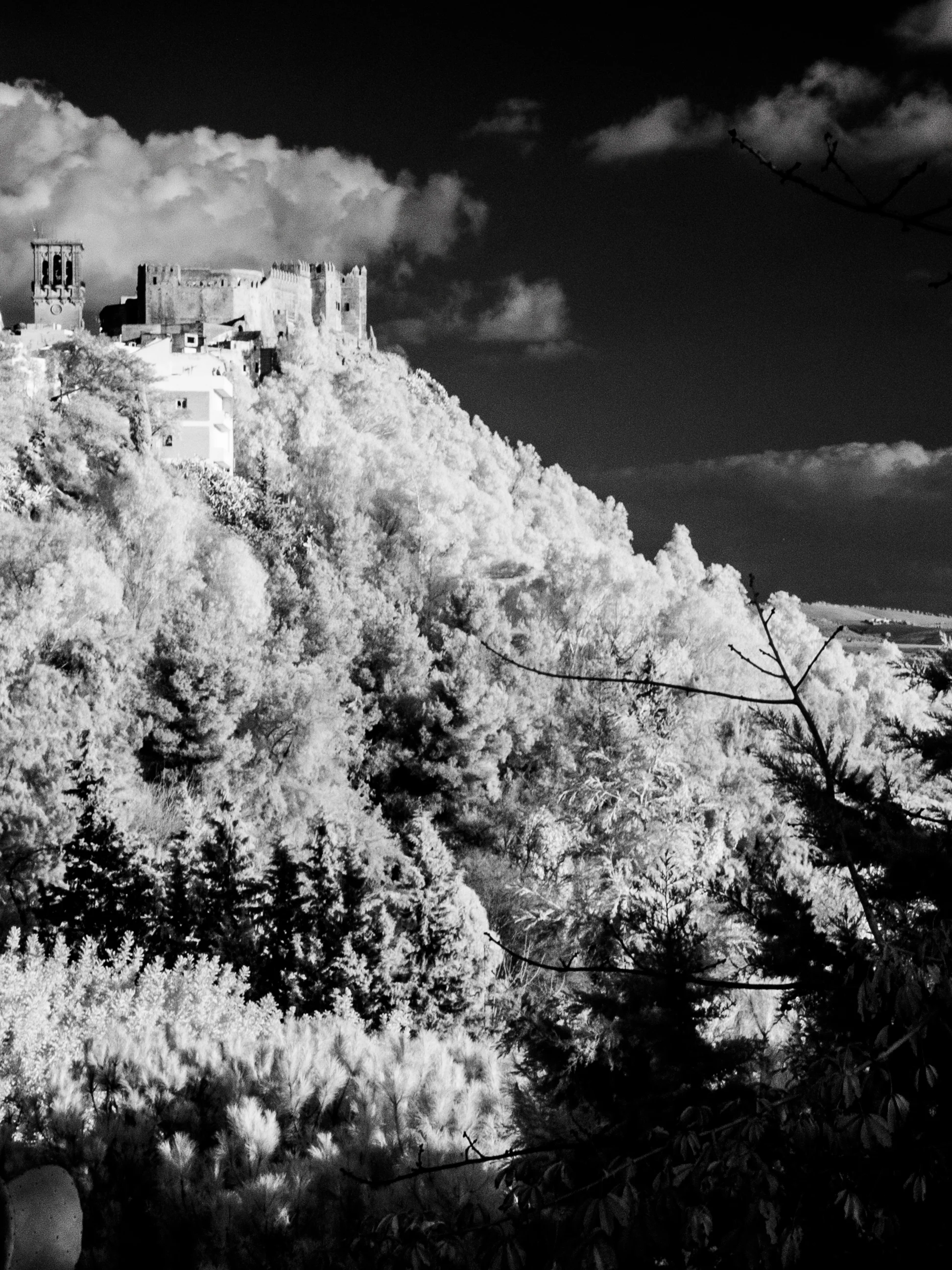 Woche 8 - Arros de la Frontera / Andalusien / IR-Aufnahme