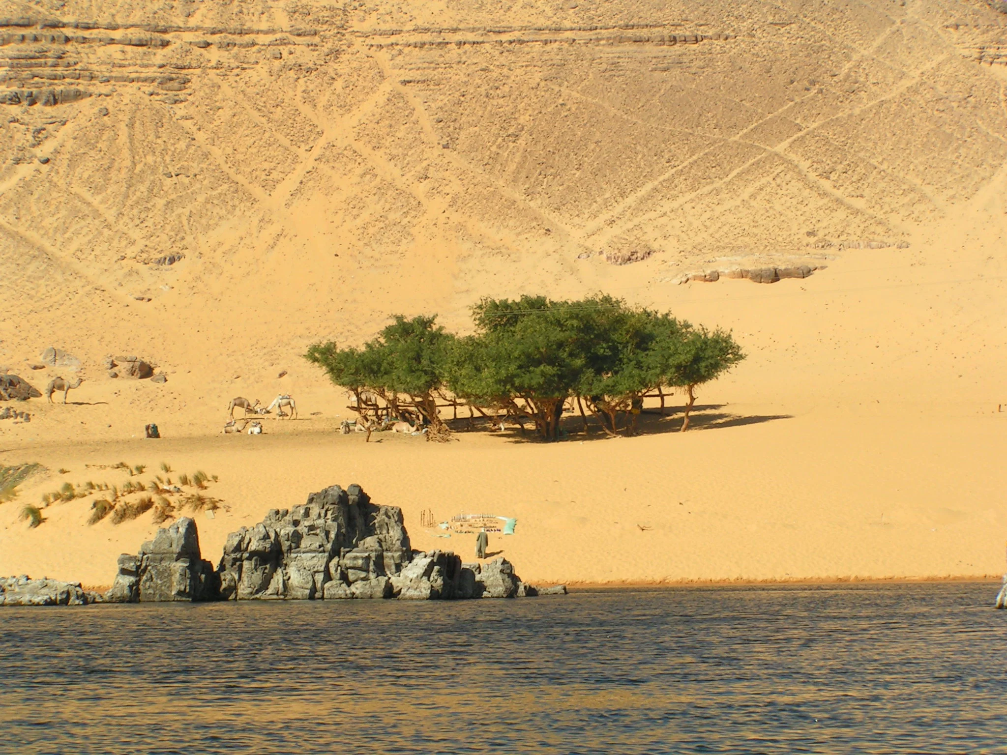 044_aegypten aswan 29 12 03.JPG