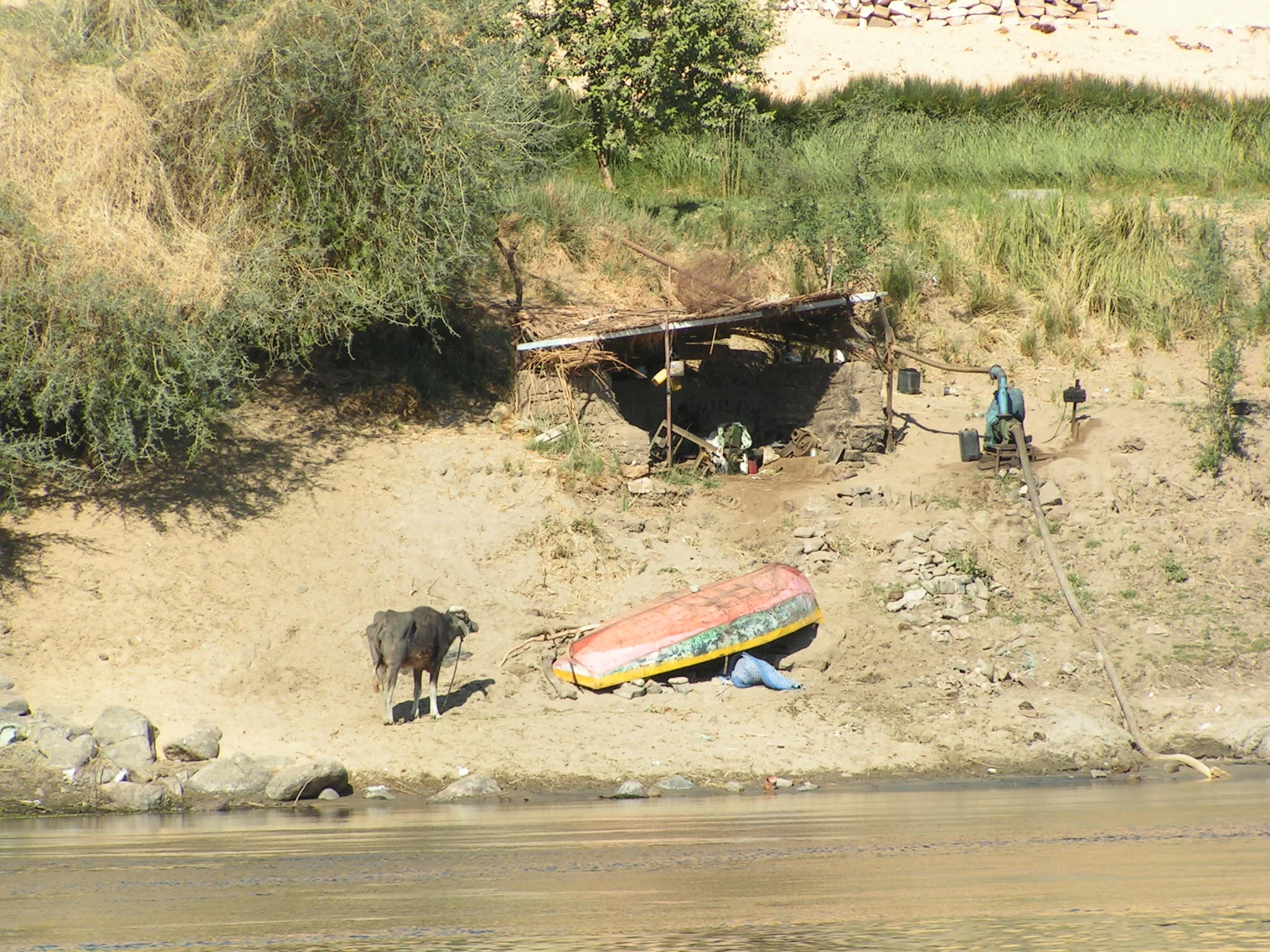040_aegypten aswan 29 12 03.JPG