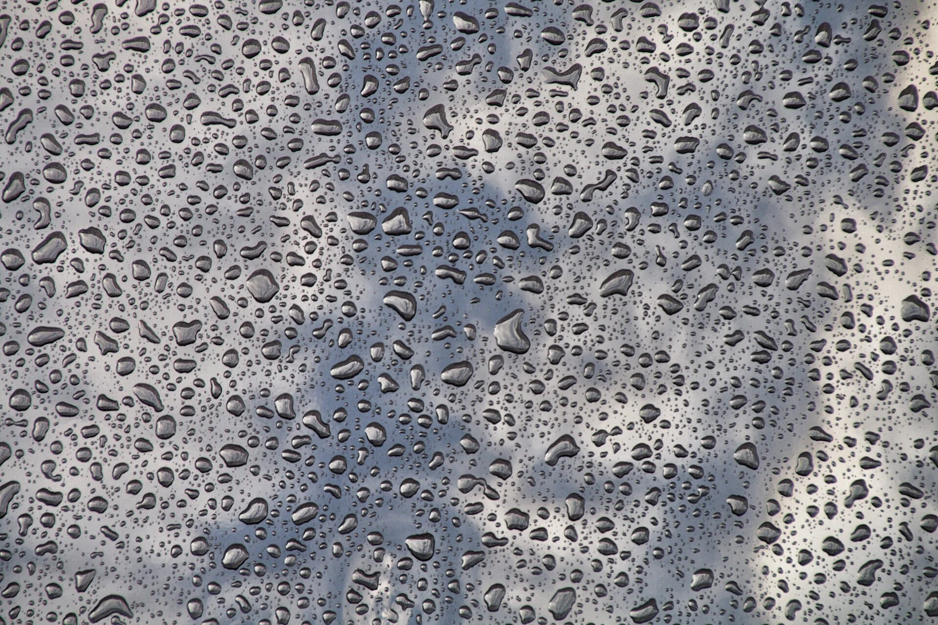 FullSizeRender.jpg