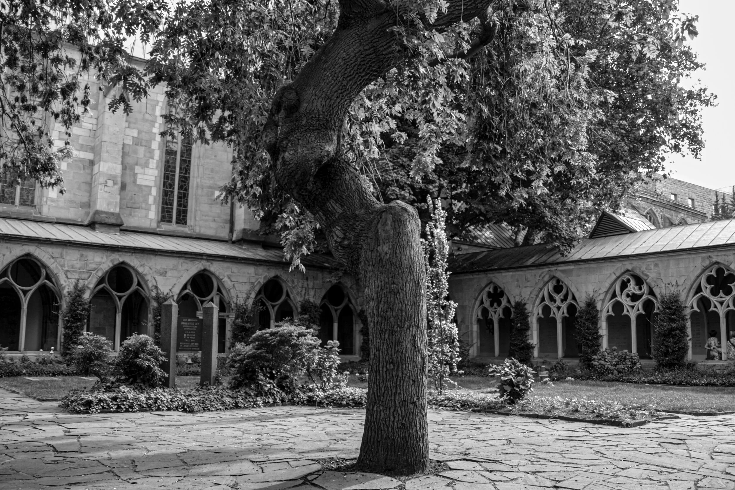 20100720_001_Essen.jpg