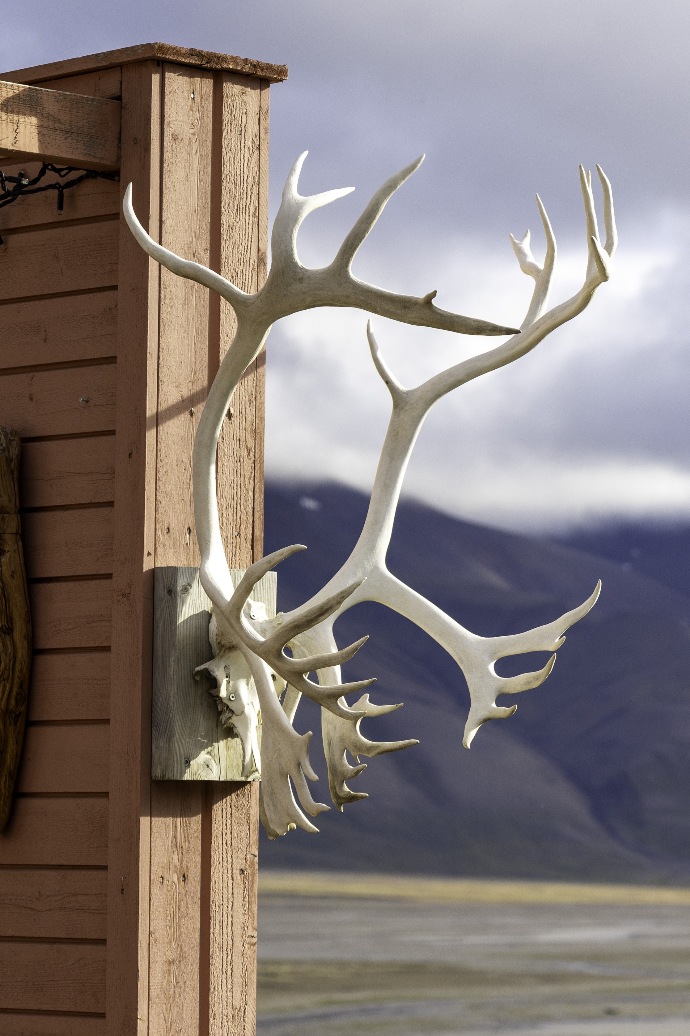 Longyearbyen