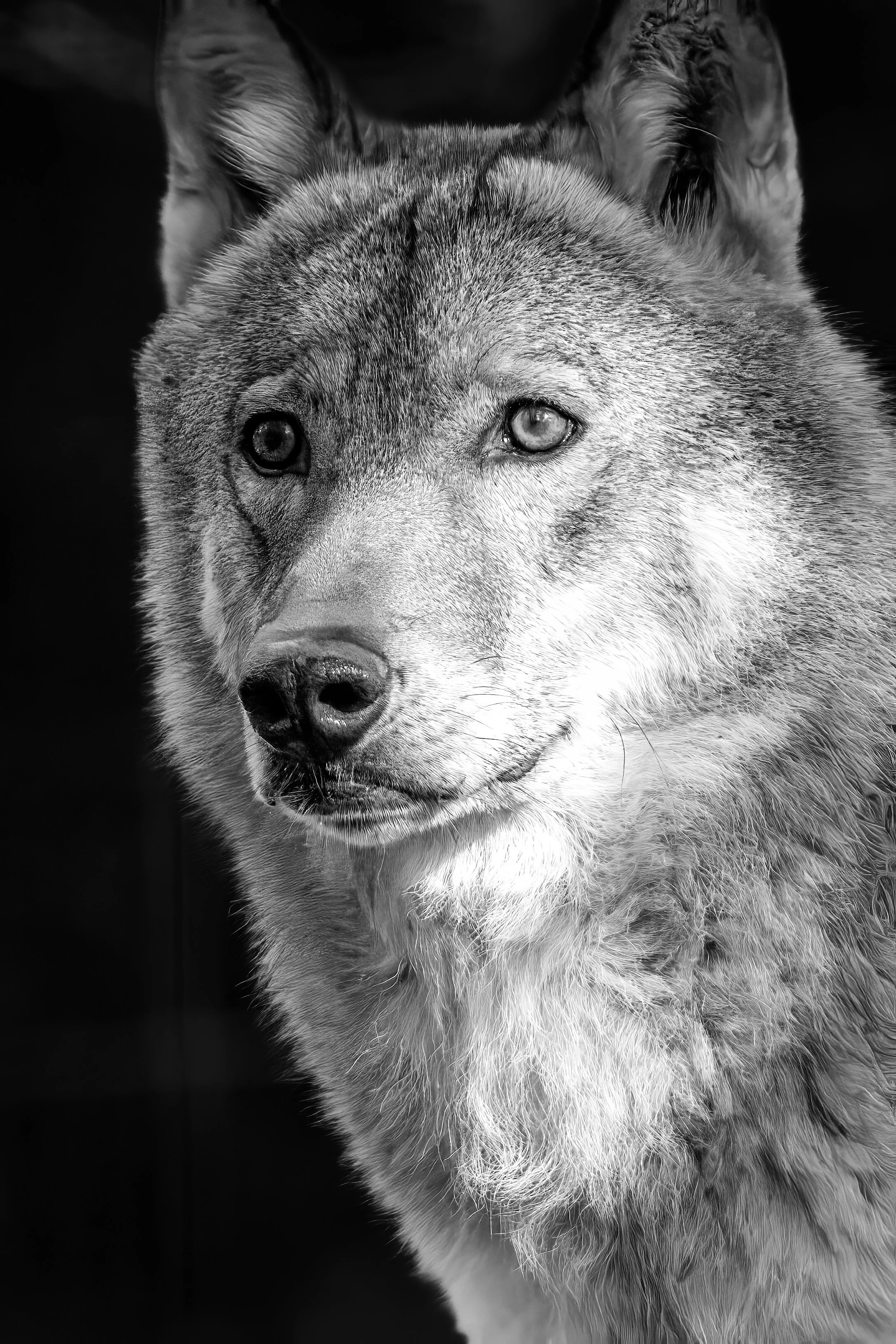 20260929_0048_Wildpark Ernstbrunn-Bearbeitet-2.jpg
