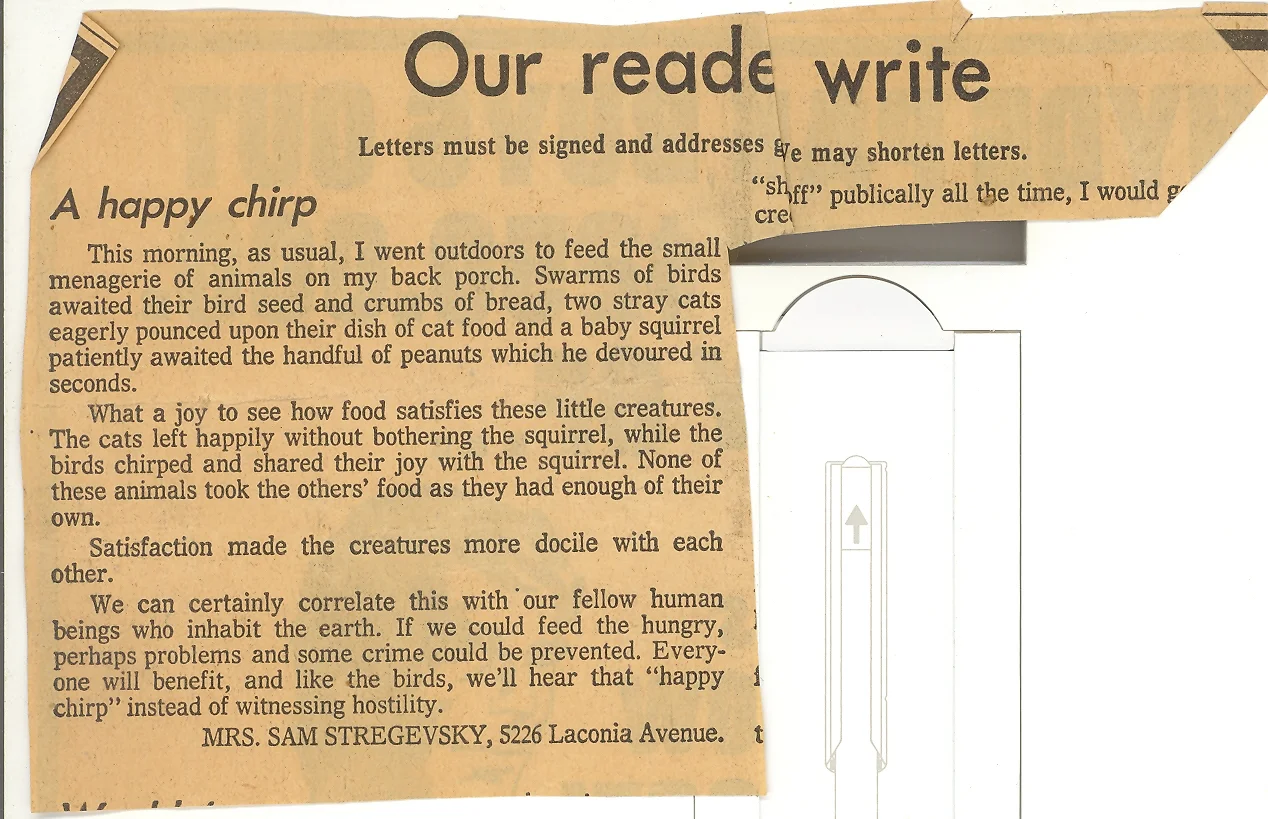 Ruth's second letter to the editor about feeding birds.