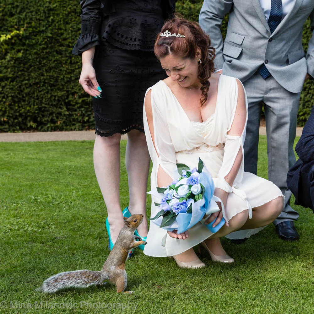 York House Wedding Photography