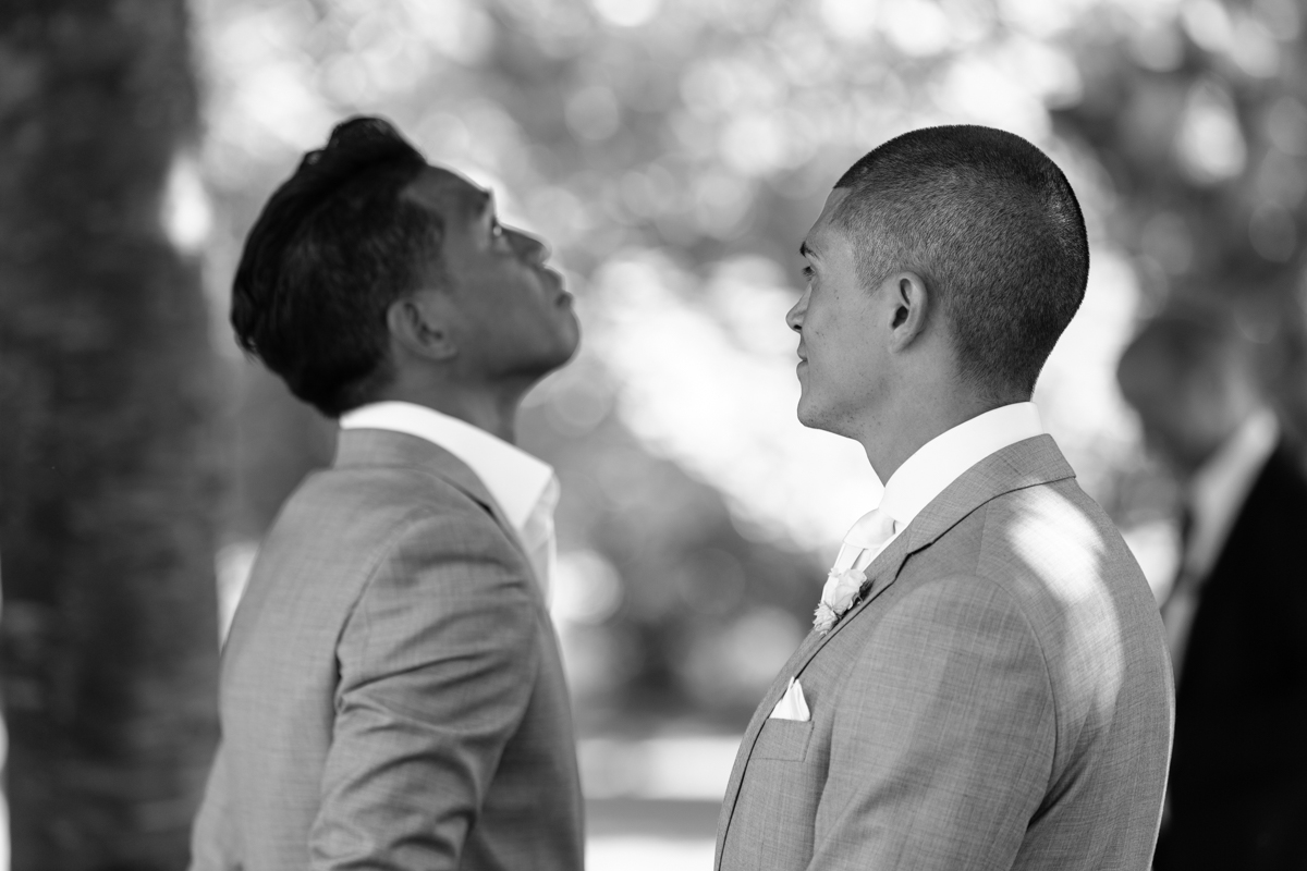 Wedding photography York House Twickenham