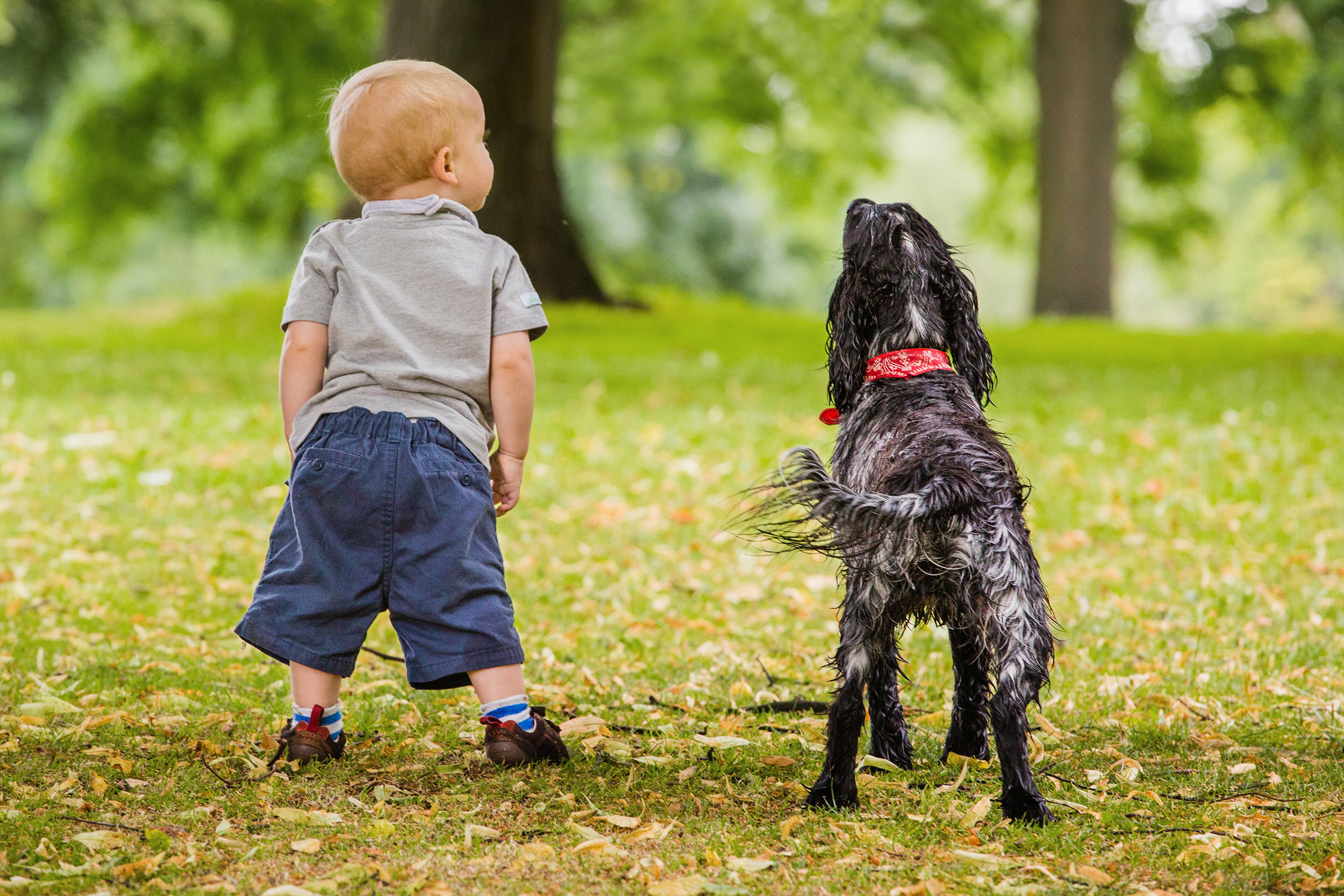 Child and pet photography London and Surrey
